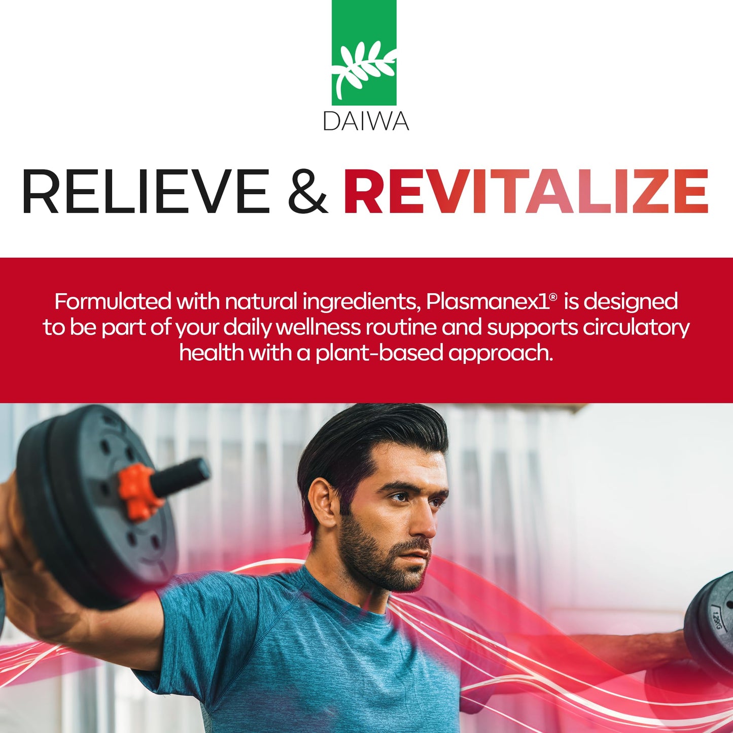 Daiwa Health Development Plasmanex1 - Circulation Supplement with Fermented Natto Enzyme (BFPB) for Blood Flow and Vascular Wellness, 60 Capsules