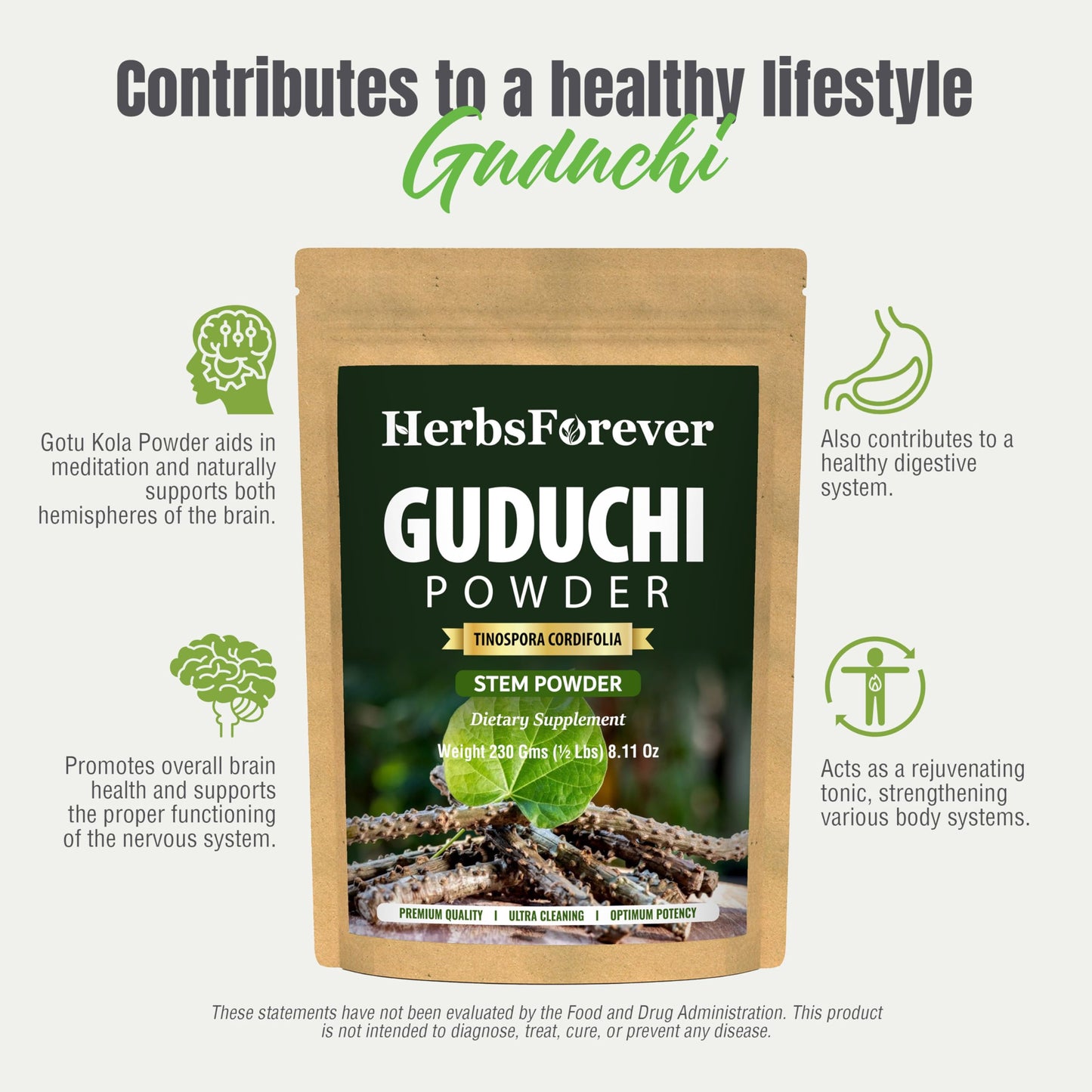 Herbsforever Guduchi Powder Tinospora Cordifolia Ayurvedic Herbal Supplement 8.11 Ounce