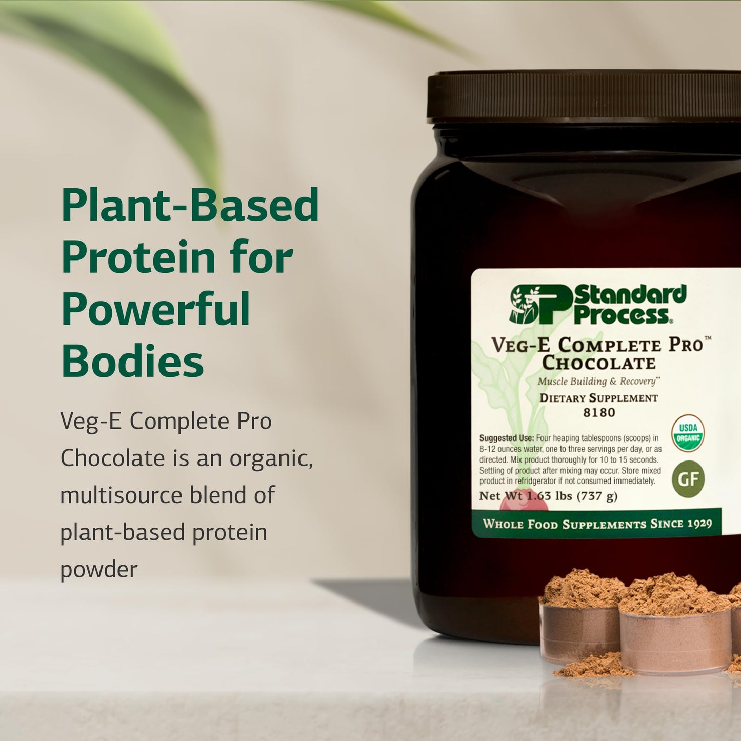 Standard Process Inc. Veg-E Complete Pro Protein Powder, 26 Servings