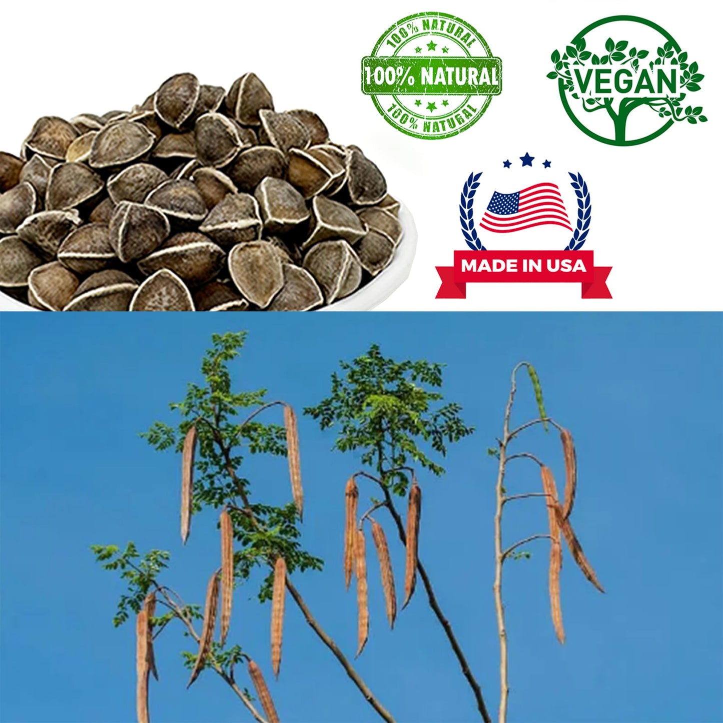 DABC OAK LAND Moringa Seed Tablets 16 Count