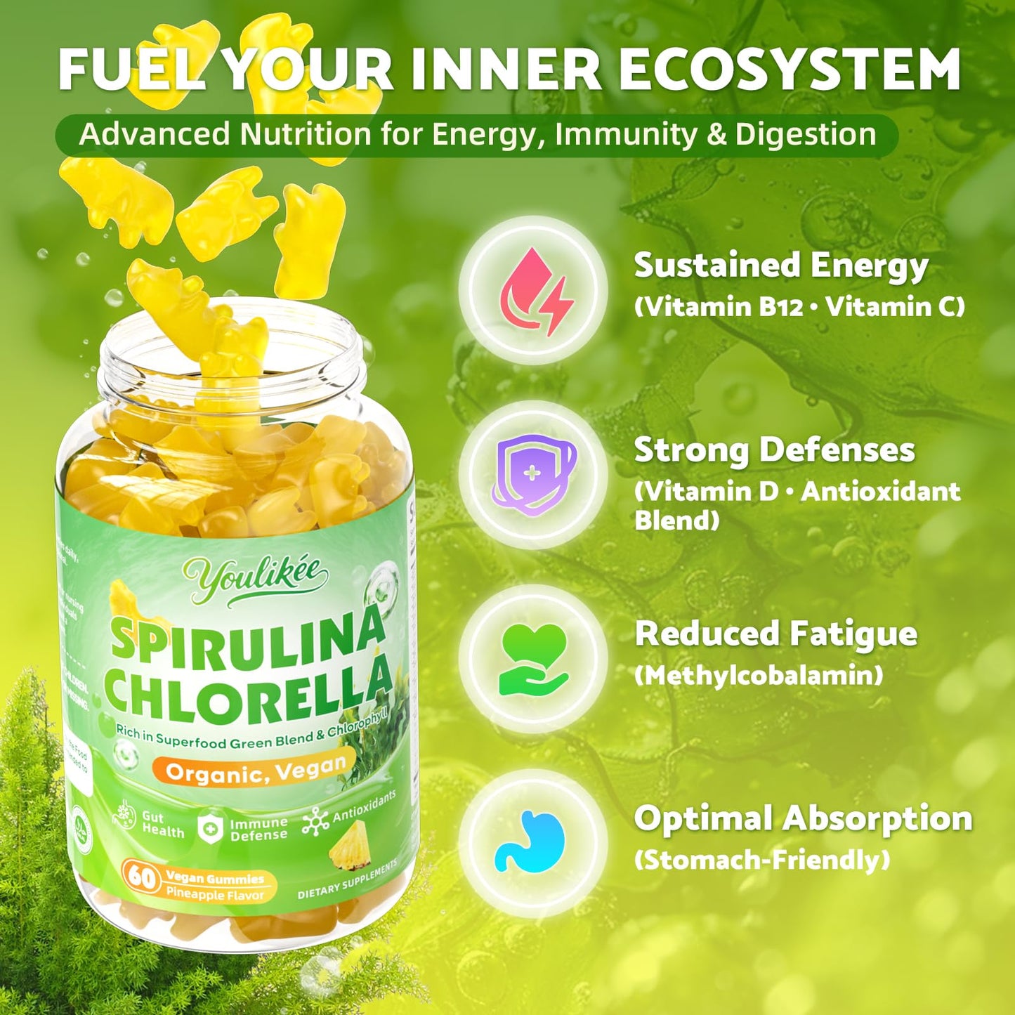 Youlikee Spirulina Chlorella Gummies 120 Gummies