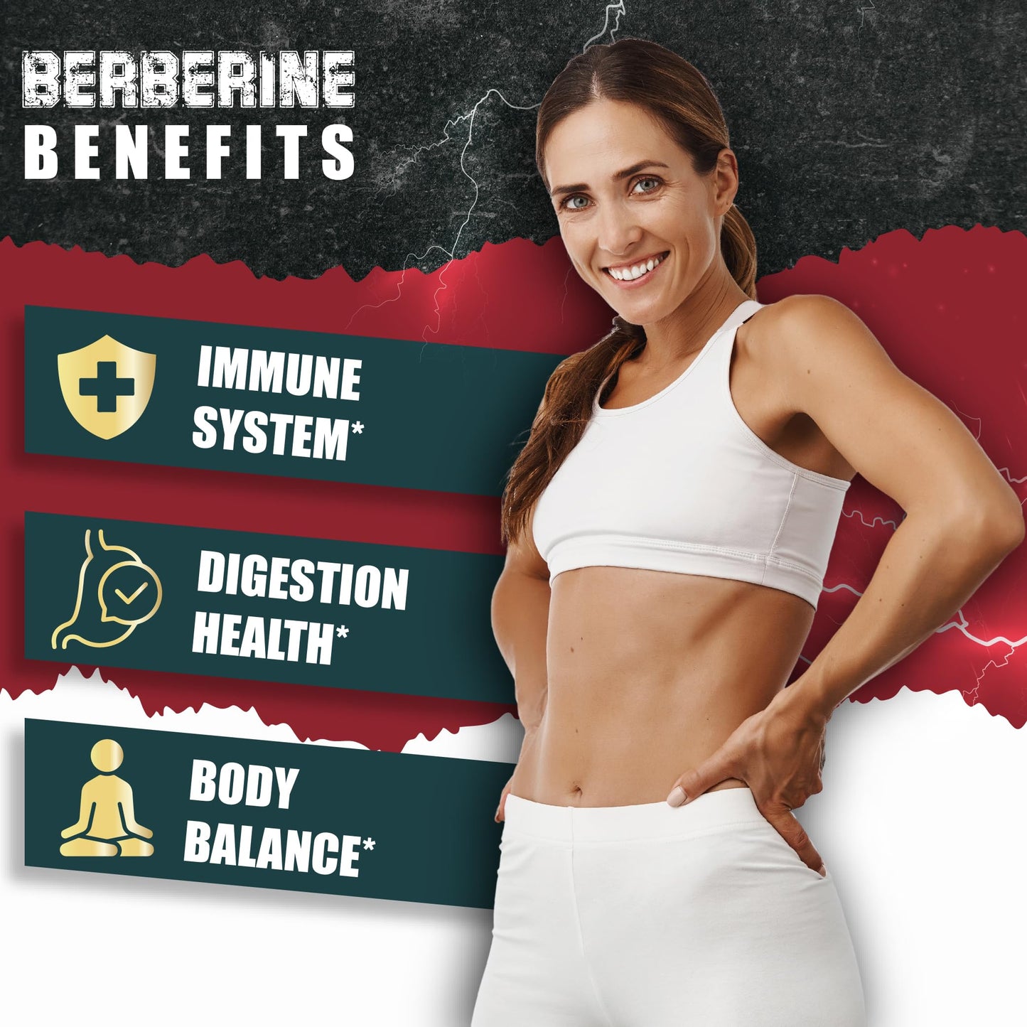 BMVINVOL 5-in-1 Berberine HCl with Ceylon Cinnamon, Milk Thistle, Turmeric, Artichoke, 90 Capsules