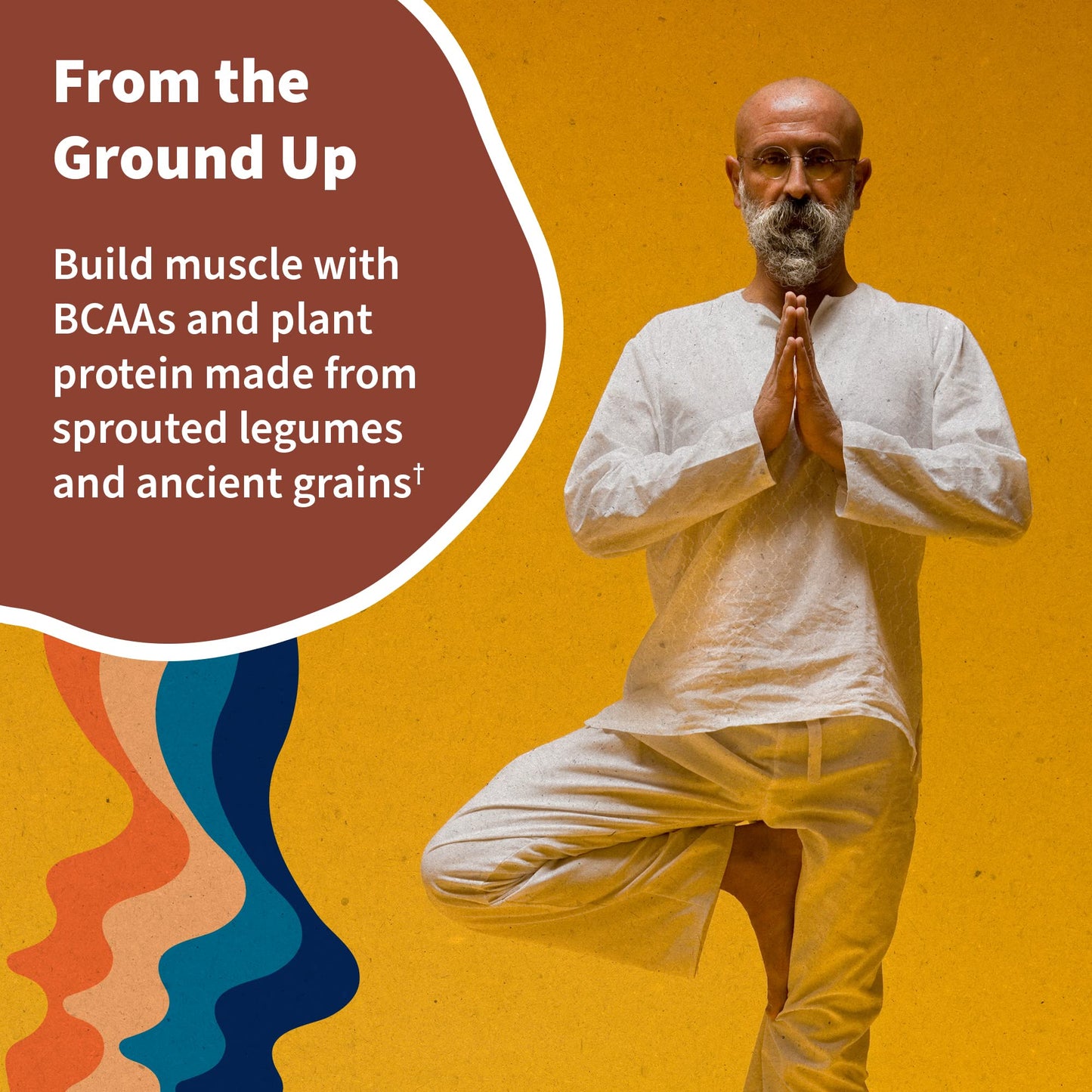 Garden of Life Organic Vegan Protein Powder Vanilla Chai, 20.5 oz