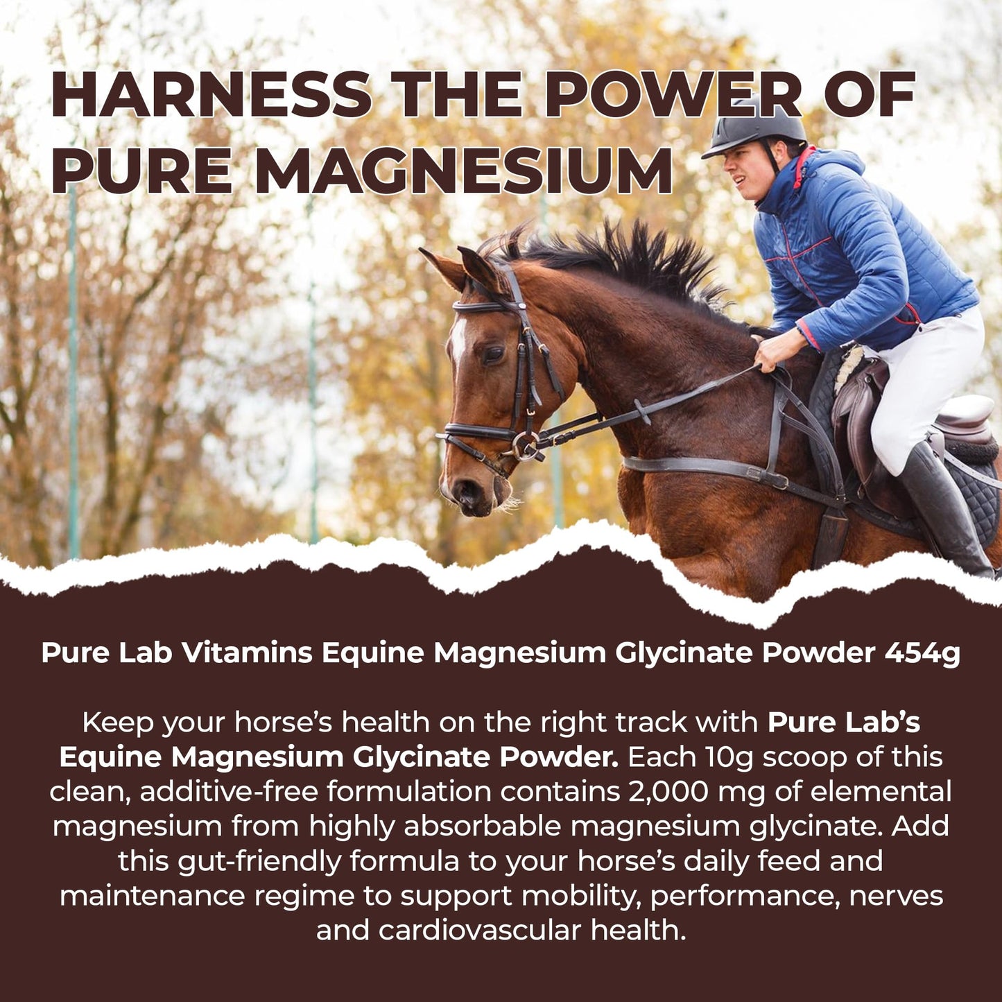 Pure Lab Vitamins Equine Magnesium Glycinate Powder 454
