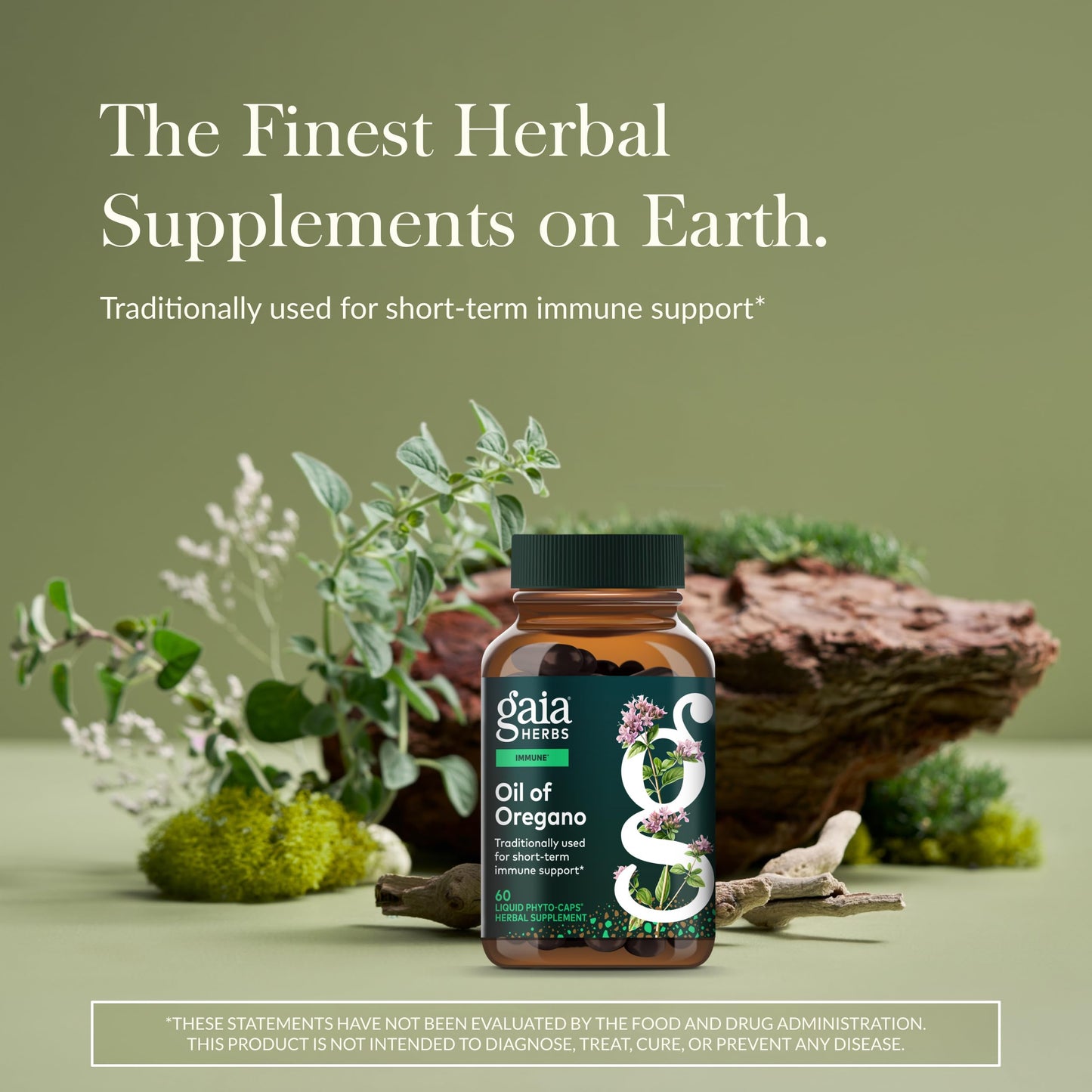 Gaia Herbs Oil of Oregano Capsules 60 Count