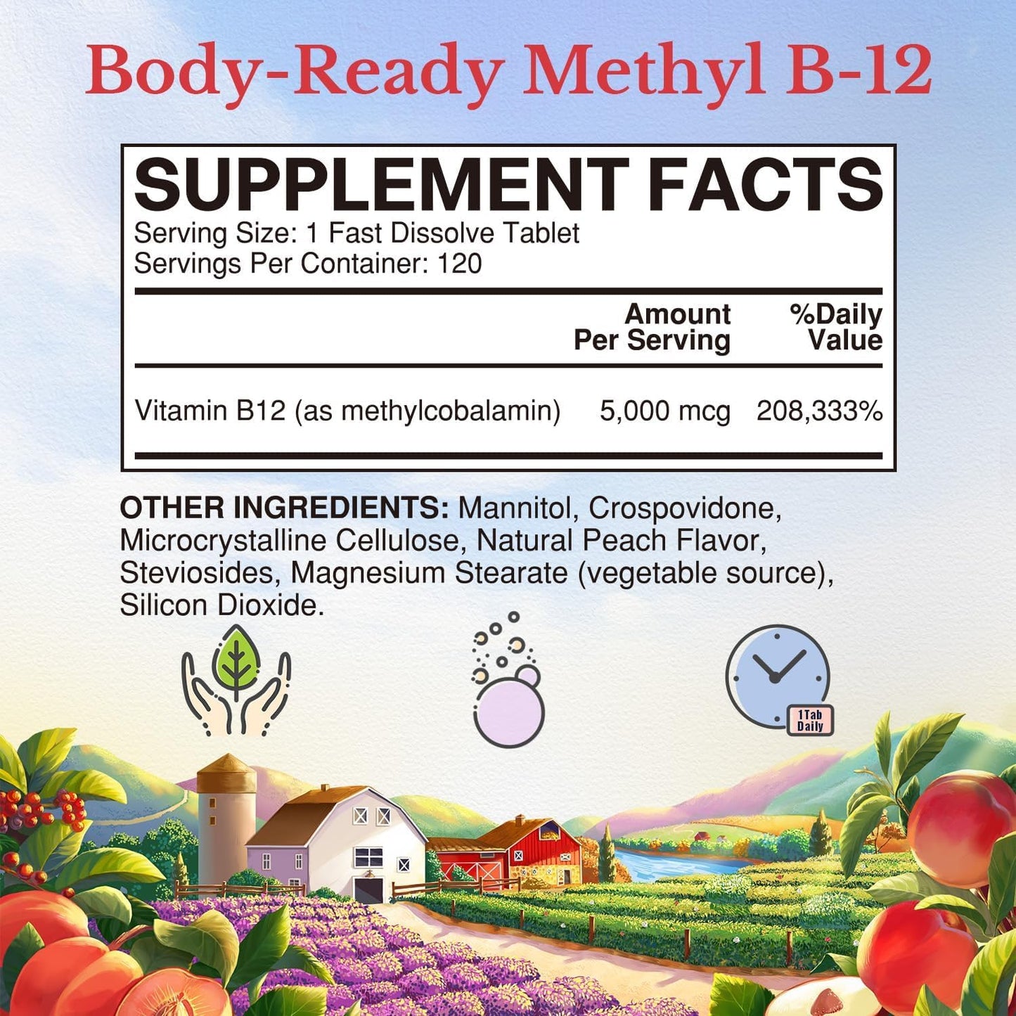 Vitalitown Vitamin B12 (Methyl B12) 5000 mcg Tablet, 120 Count