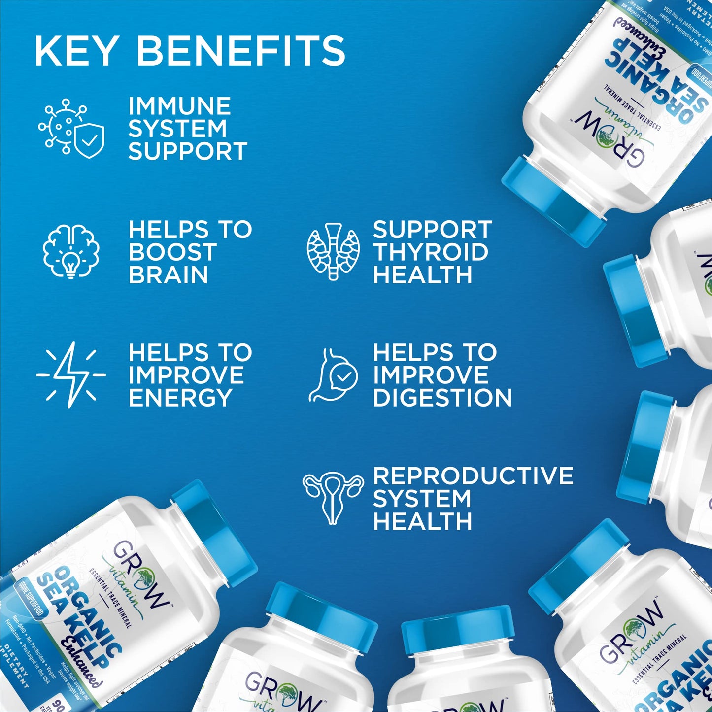Grow Vitamin Organic Sea Kelp (Icelandic) Enhanced Thyroid Support Iodine Supplement with Blue-Green Algae & Red Algae, Immune System & Metabolism Support, 90 Capsules