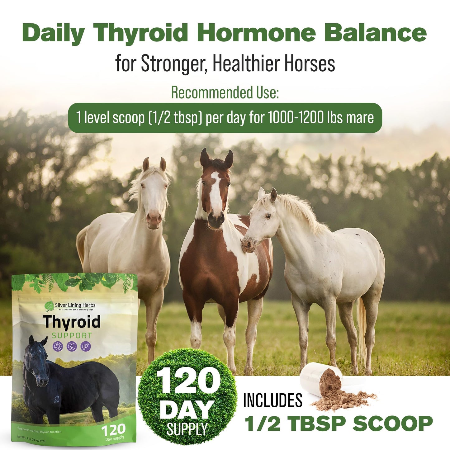 Silver Lining Herbs Thyroid Support for Horses Powder, 1 Unit