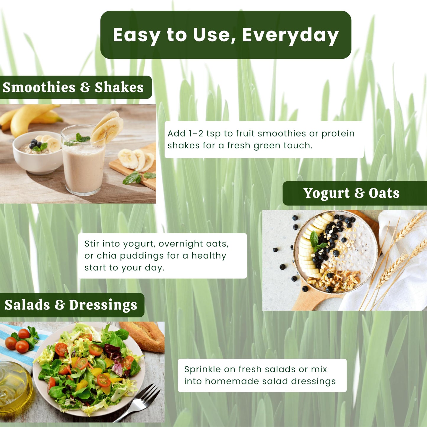 Exotic Veda Wheatgrass Powder 3.53 Ounce