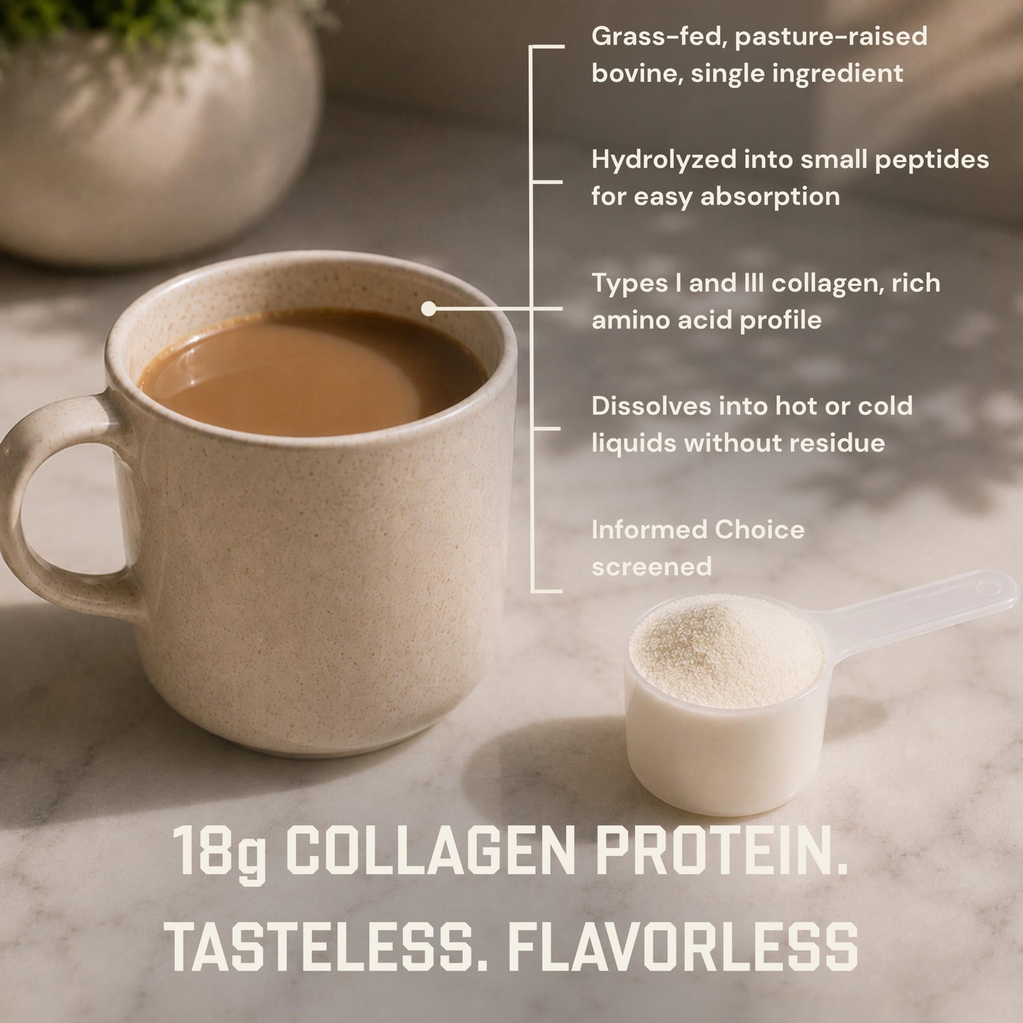 Anea Nutrition Collagen Peptides Powder 21.5877