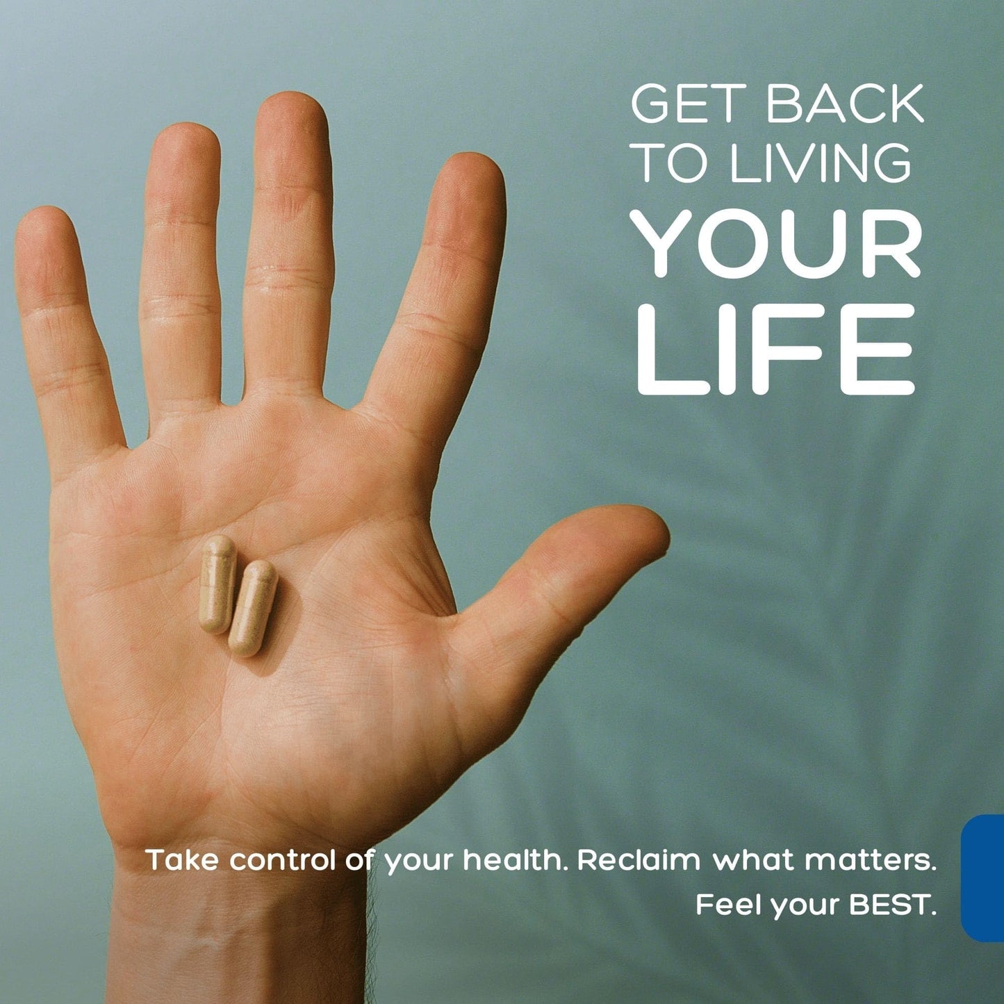 Natural Cure Labs Premium Immune Support Capsule 60 Capsules