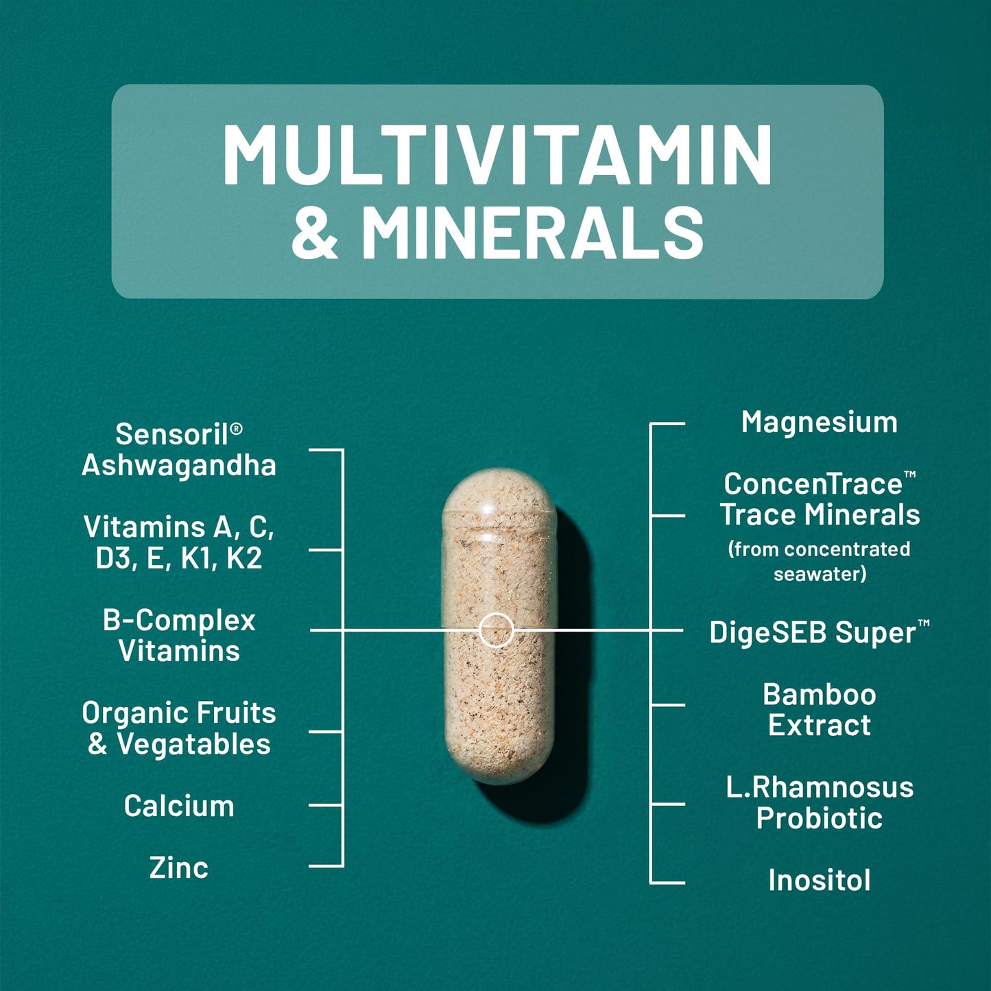 NatureWise Multivitamin for Men + Stress Support + Fulvic Ionic Minerals + Probiotics for Immunity, Male Health, Digestion + Whole Organic Foods - Vegetarian, Non-GMO Capsules, 60 Count