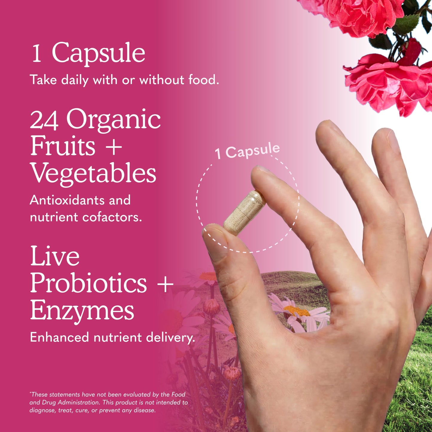 Garden of Life Vitamin Code Raw One for Women Once Daily Women's Multivitamin 75 Capsules