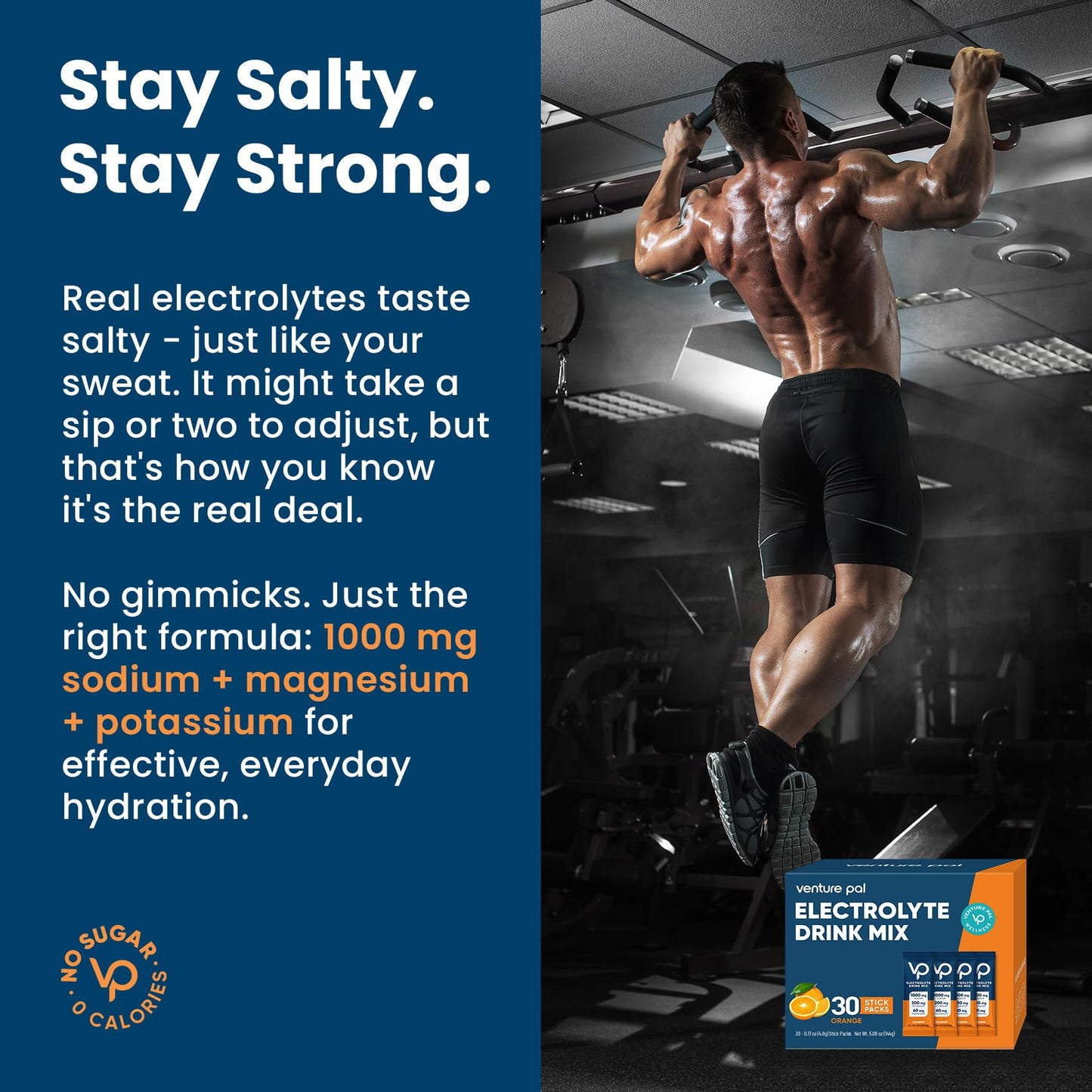 Venture Pal High Sodium Sugar Free Electrolytes Powder 180 Count
