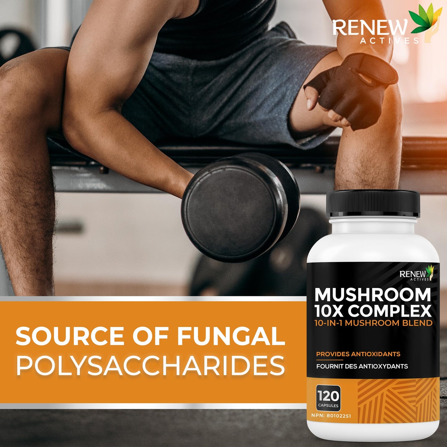 Renew Actives Mushroom Complex Capsule 1 Count