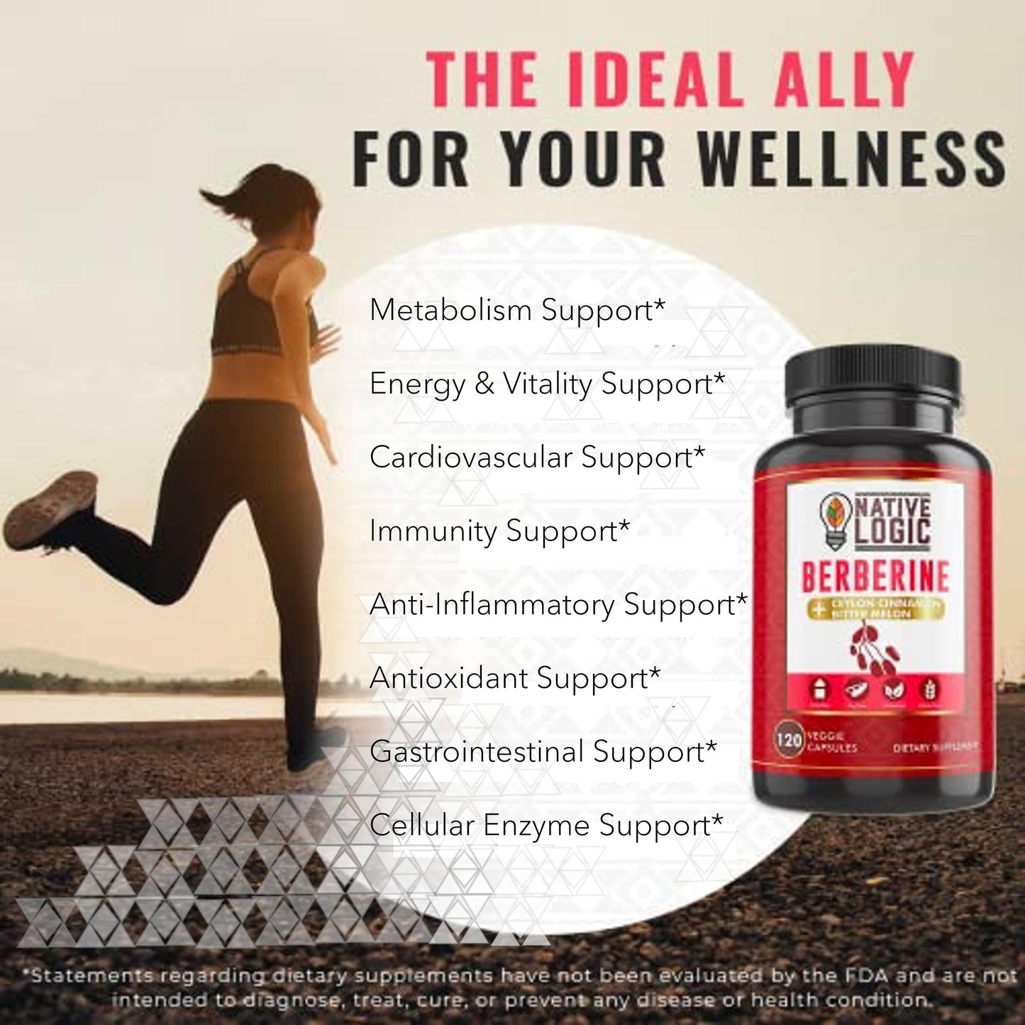 Native Logic Berberine HCL 1200mg with Ceylon Cinnamon, Bitter Melon, and Green Tea Extract Capsules, 120 Count