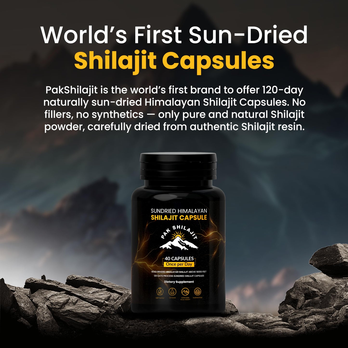 PakShilajit Himalayan Shilajit Capsules 40 Capsules