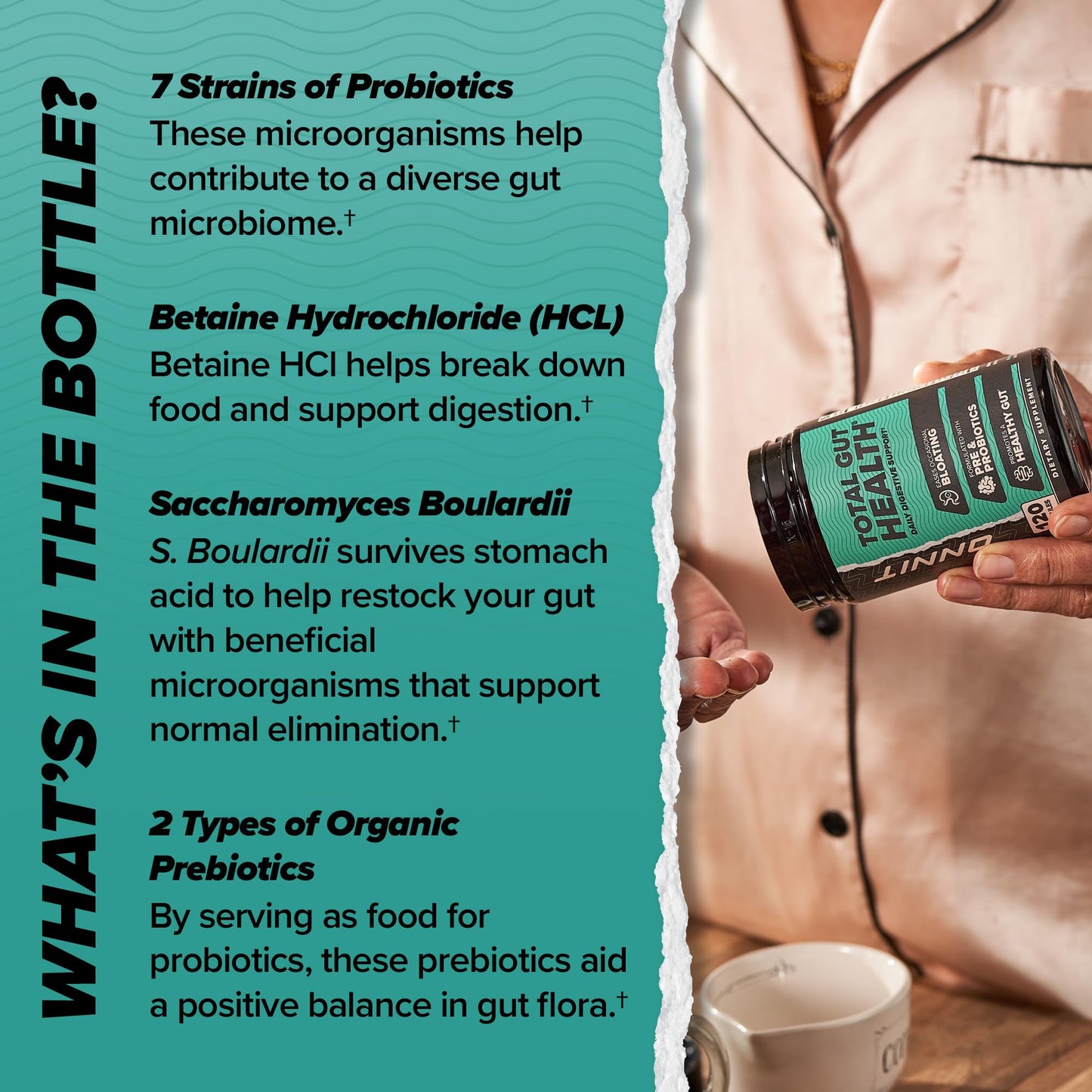ONNIT Total Gut Health Daily Digestive Support Capsule, 120 Count