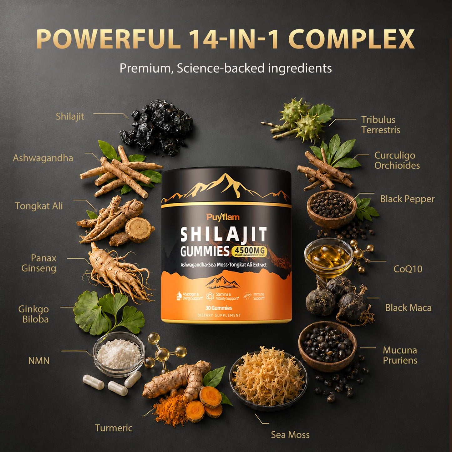 Puyflam Shilajit 85 Capsules