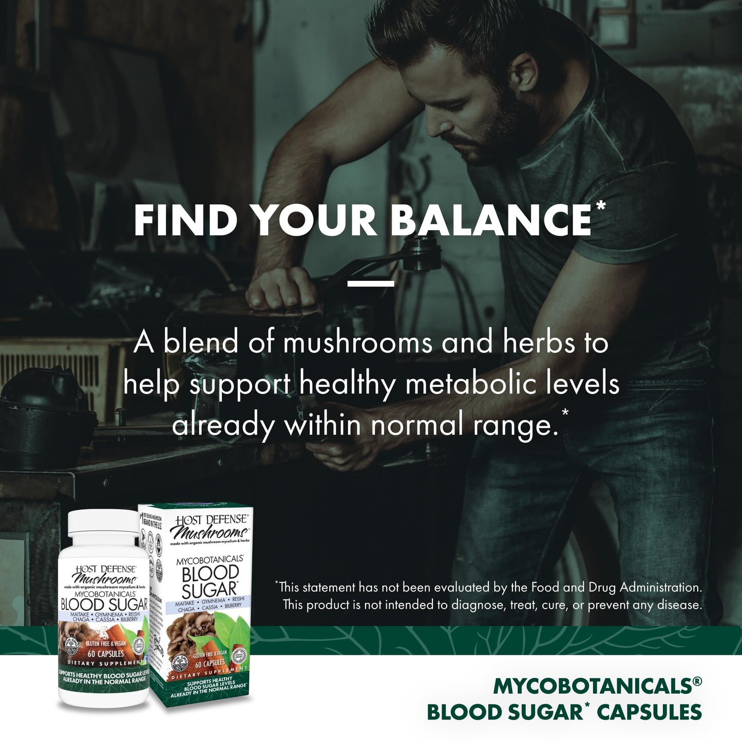 Host Defense MycoBotanicals Blood Sugar - Herbal Supplement with Chaga, Reishi & Maitake Mushrooms - Mushroom Mycelium Supplement for Healthy Balance, 60 Capsules