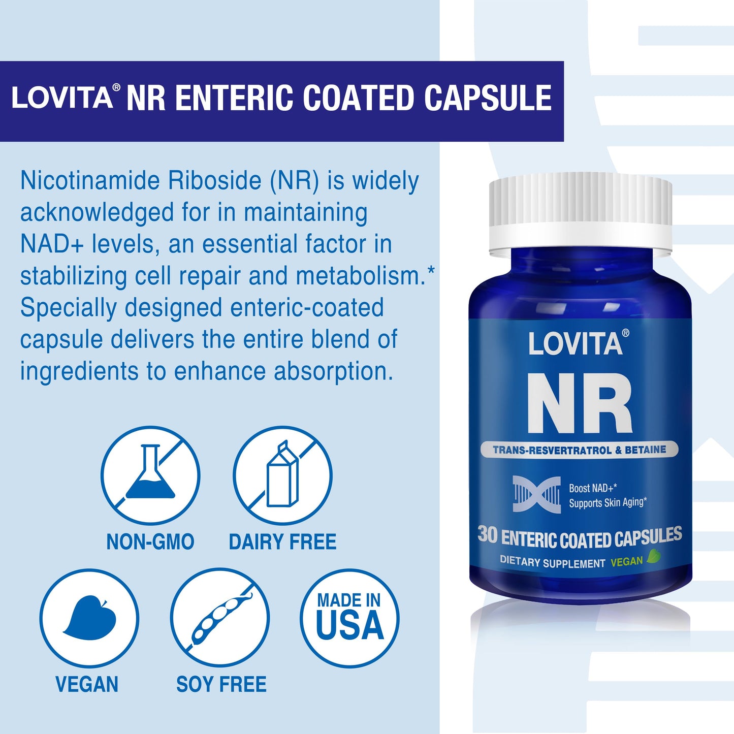 LOVITA NR Nicotinamide Riboside 350 mg NAD+ Support, Trans-Resveratrol & Betaine, 30 Capsules