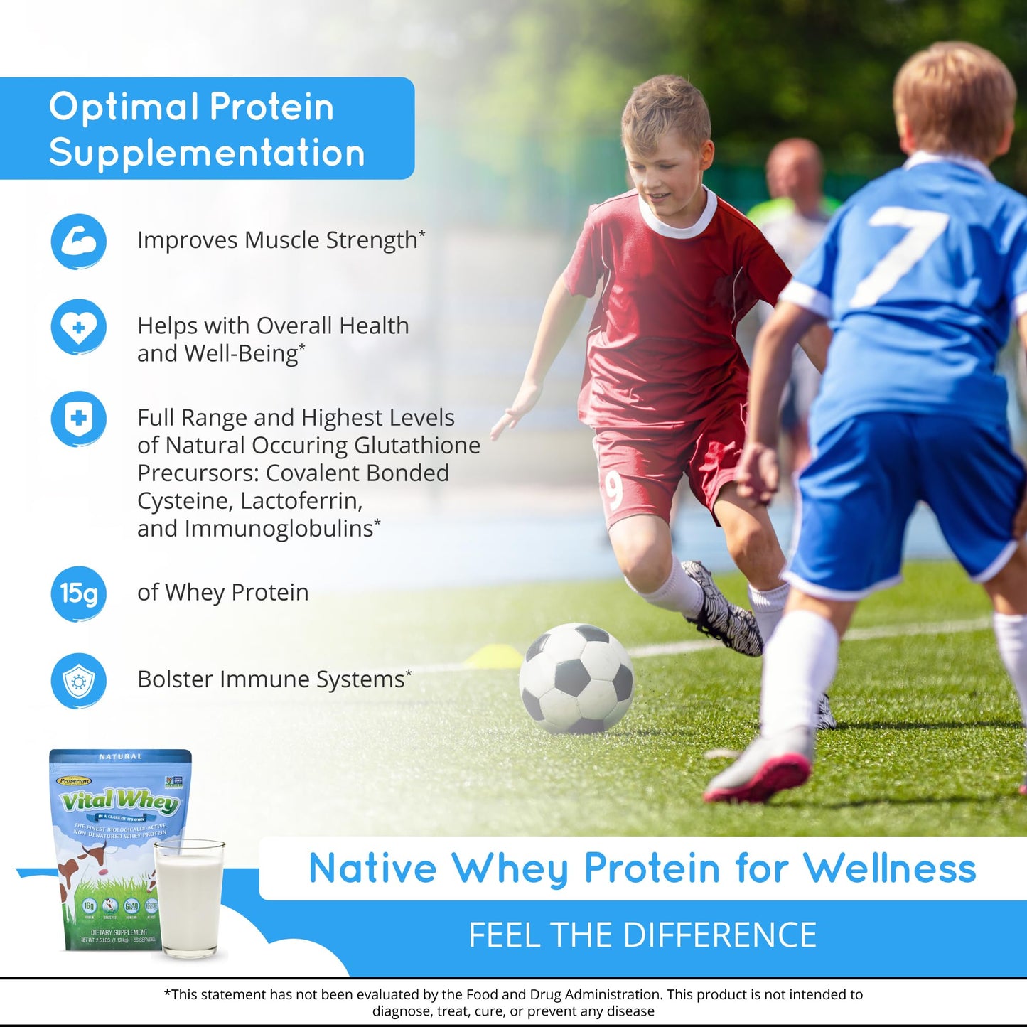 Well Wisdom Proteins Cocoa Grass-Fed Whey Protein Powder Immune Vitality, Sports Recovery, 21