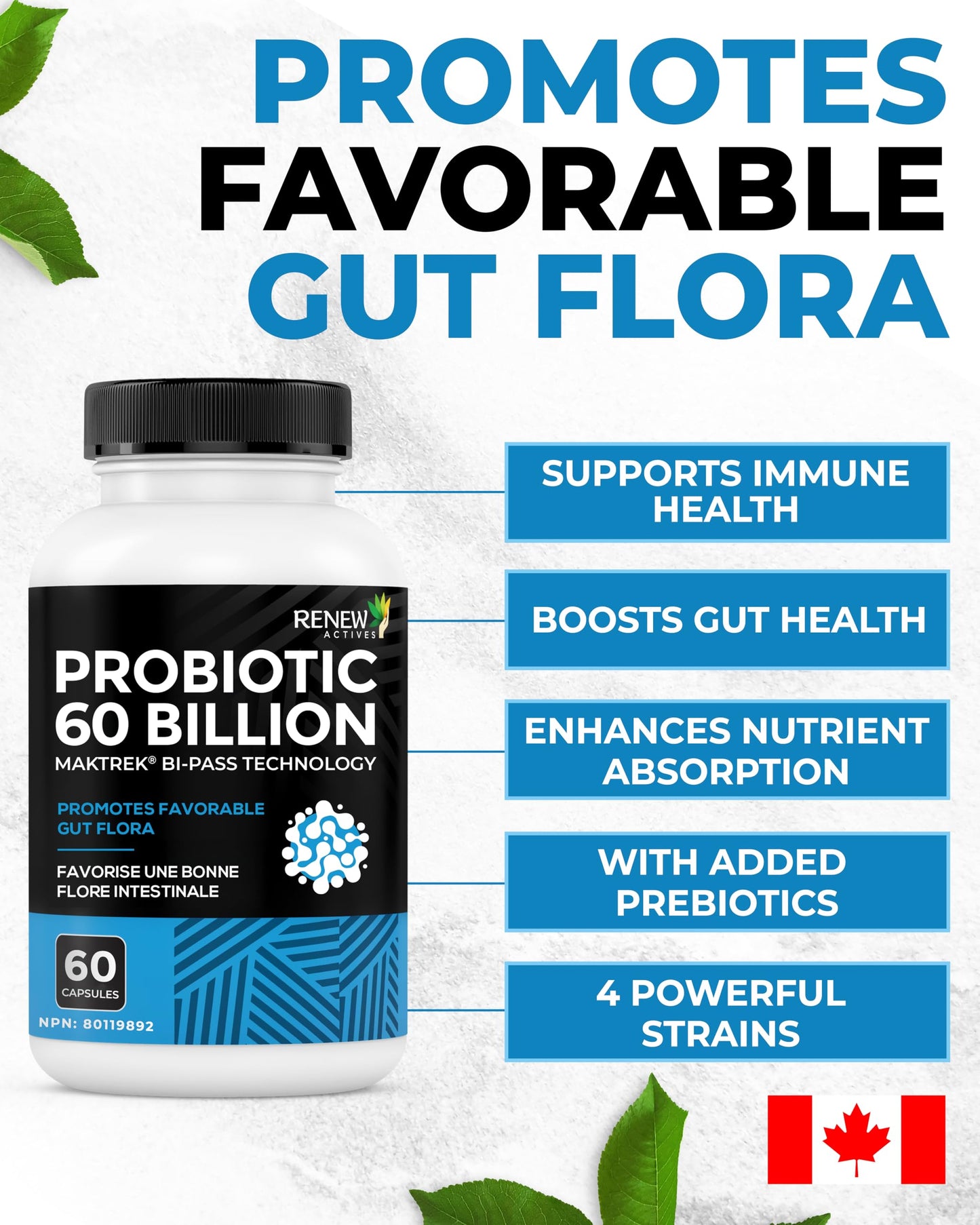 Renew Actives Probiotic Supplement for Digestive Health Capsule, 60 Capsules