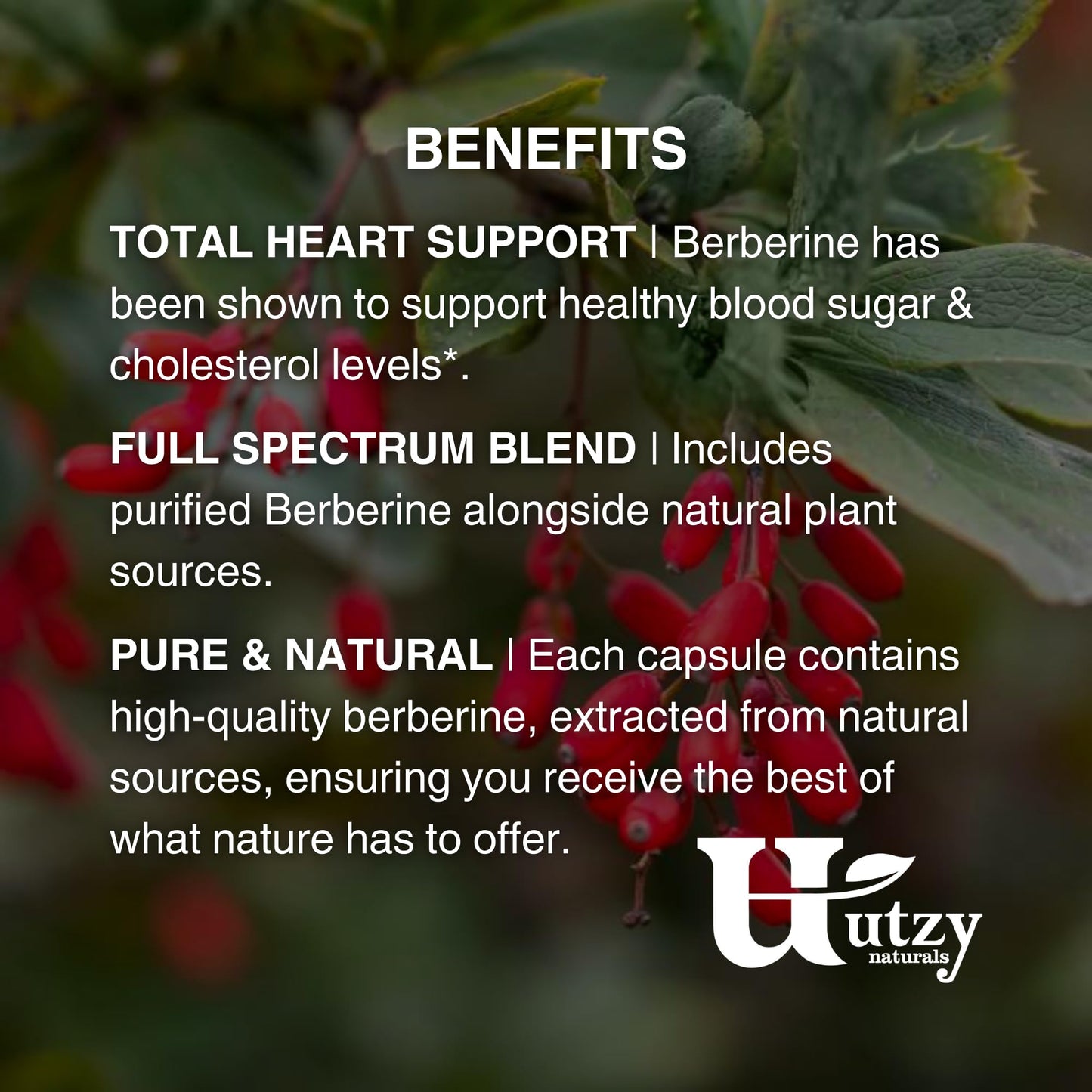 Utzy Naturals Berberine 1,000 mg Triple Source Full Spectrum Blend, Indian Barberry + Coptis + Oregon Grape Root, Metabolic & Cardiovascular Support, Capsule, 60 Count