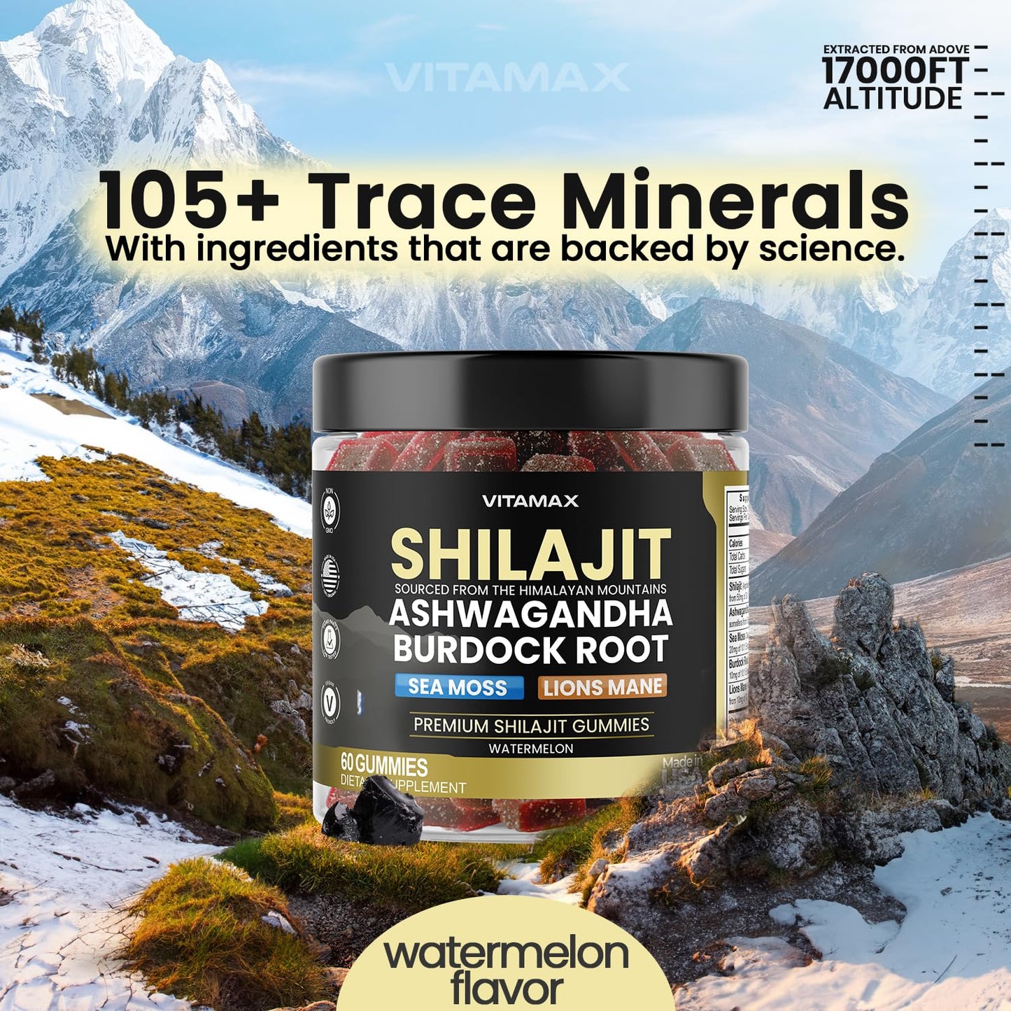 Vitamax Pure Shilajit Gummies 60 Count