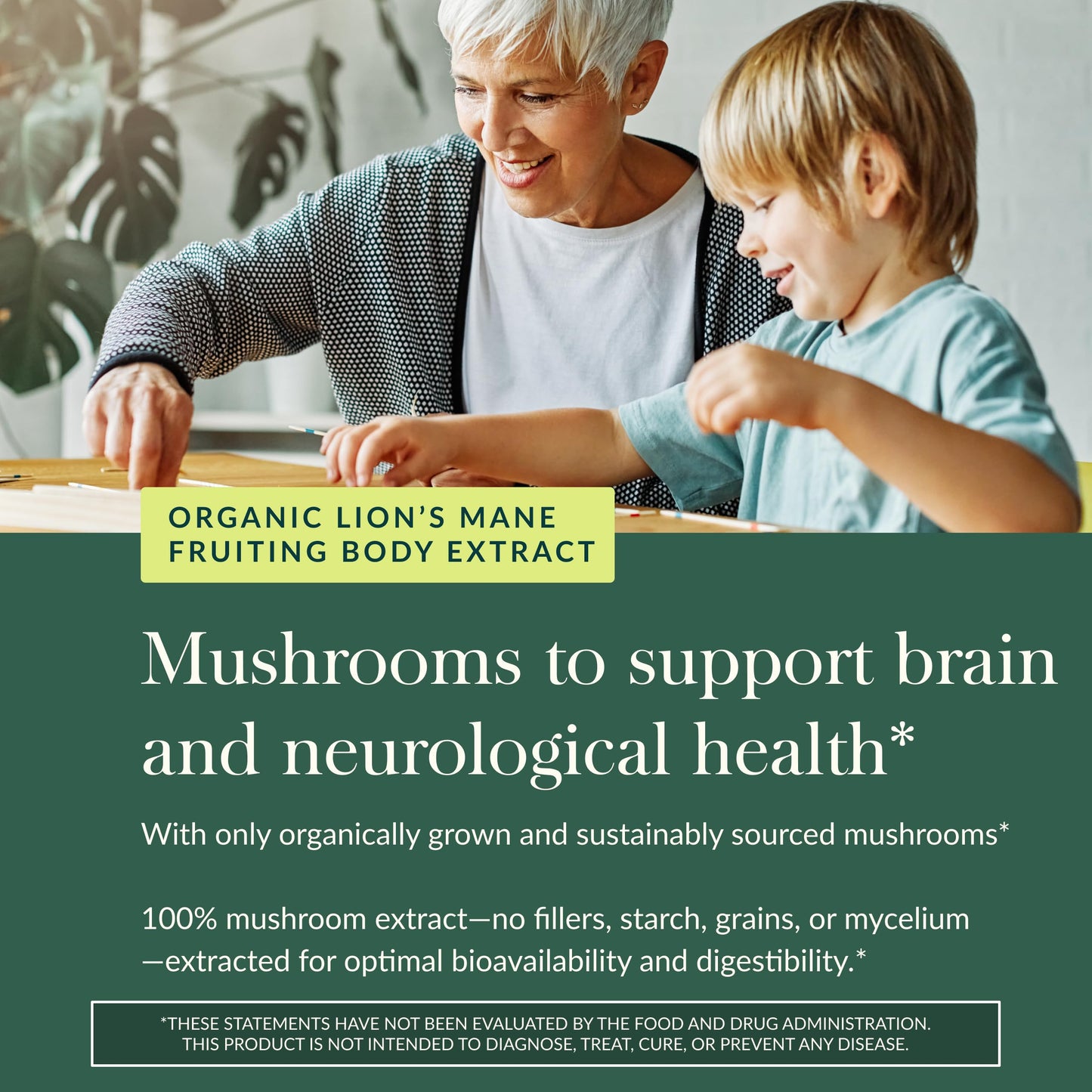 Gaia Herbs Lion's Mane Mushroom Gummies Brain Support, 60 Gummies