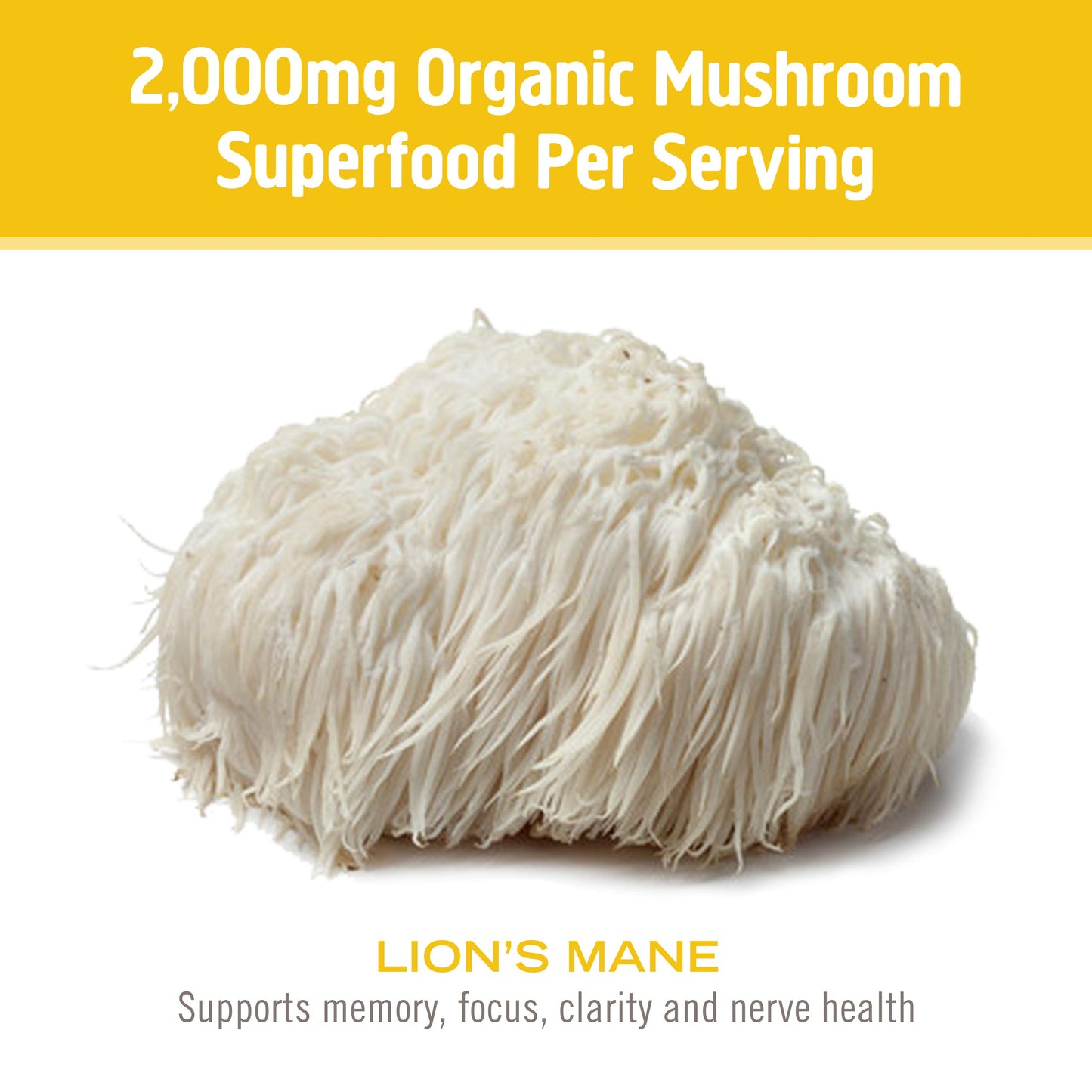 OM MUSHROOM SUPERFOOD Mushroom Matrix Lion's Mane Powder 4 Ounce