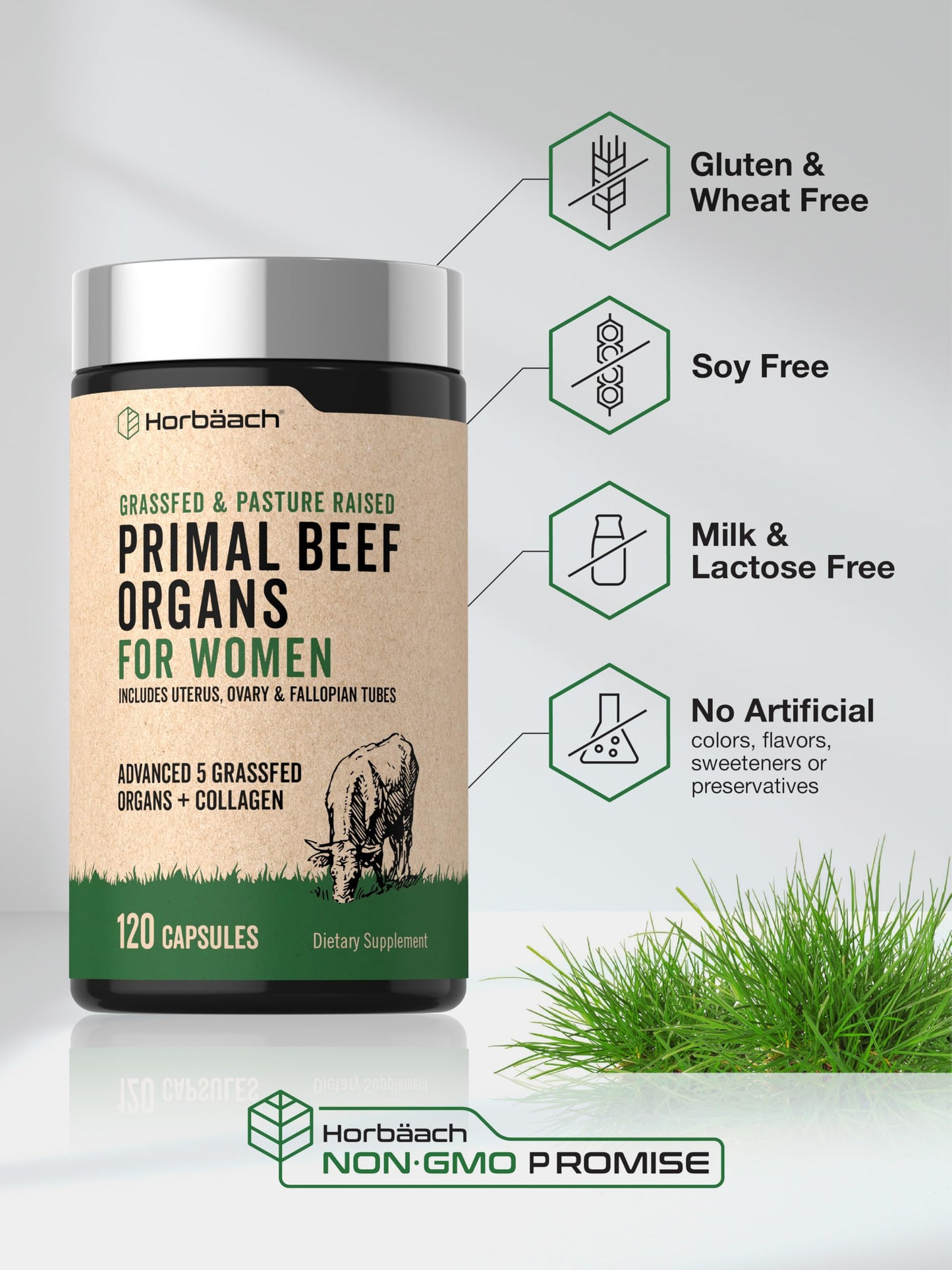Horbäach Beef Organ Supplement for Women Capsules, 120 Count