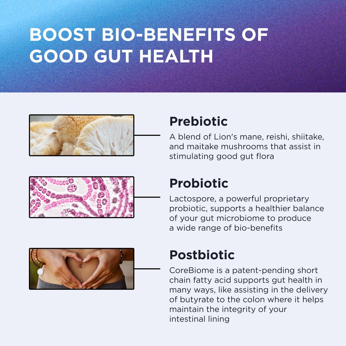 Dr. Emil Nutrition Total Gut Health Complex Prebiotic, Probiotic & Postbiotic Supplement Capsules, 60 Count