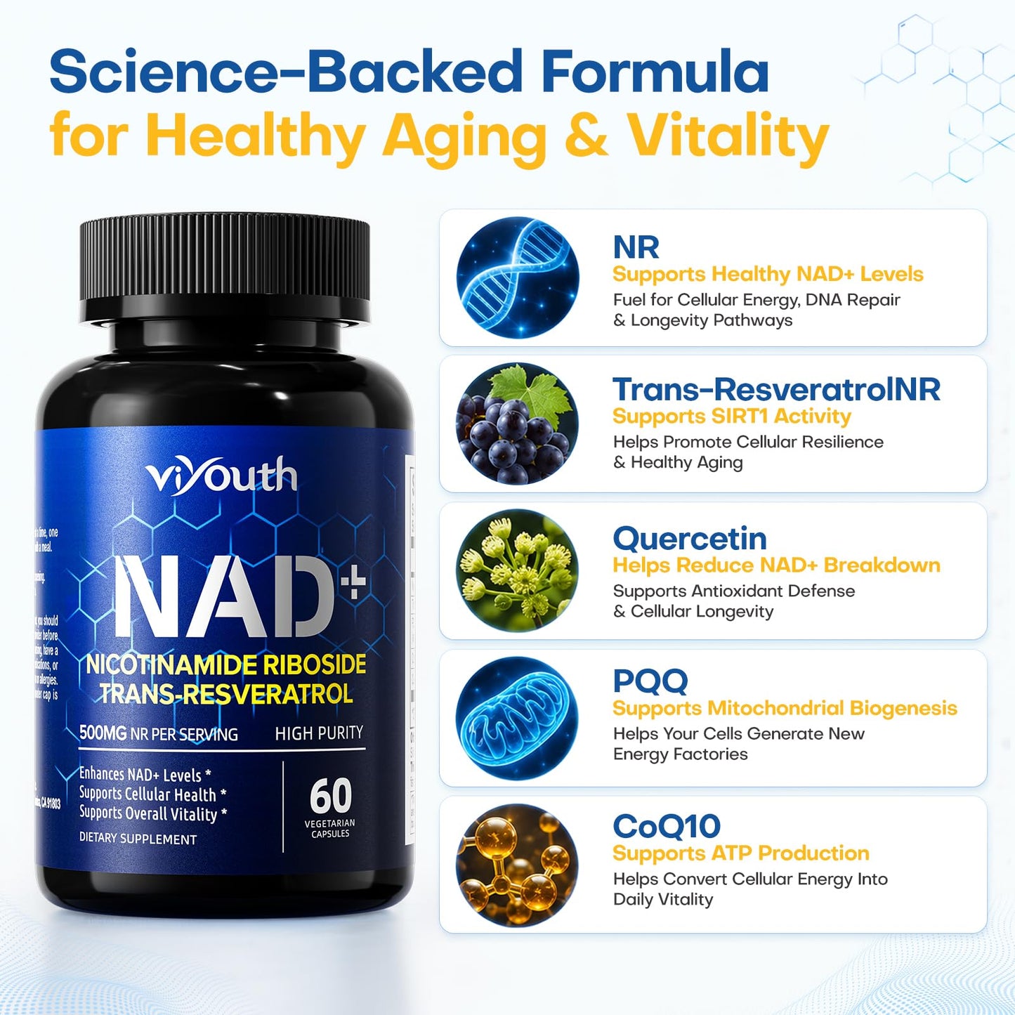VIYOUTH NAD+ Capsule with Nicotinamide Riboside 500mg & Trans-Resveratrol – NR Supplement for Cellular Energy & Healthy Aging, 1 Count