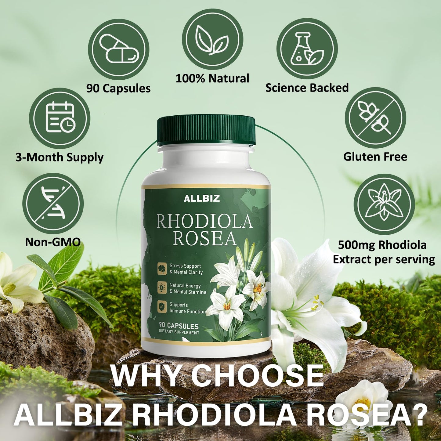 ALLBIZ Rhodiola Rosea Organic 3% Salidrosides & 1% Rosavins Standardized Capsules, 90 Count