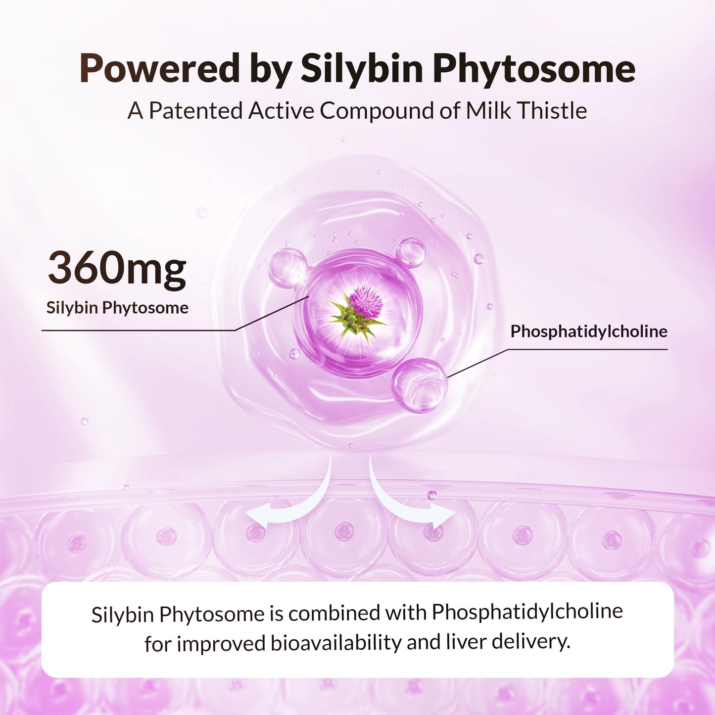 Natural Wellness UltraThistle Advanced Milk Thistle Supplement Capsules 90 Count