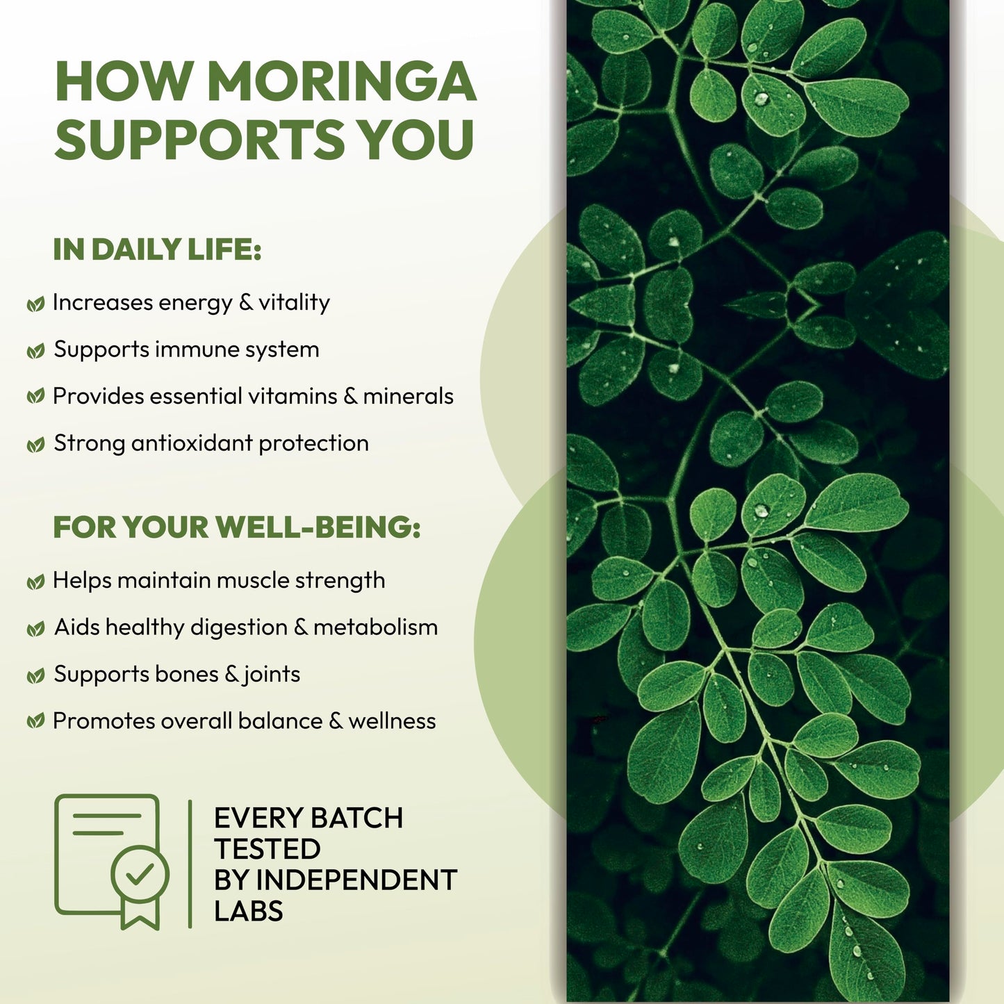 SHEVAT VITAMINS Organic Moringa Leaf Capsules 1000mg, 90 Capsules