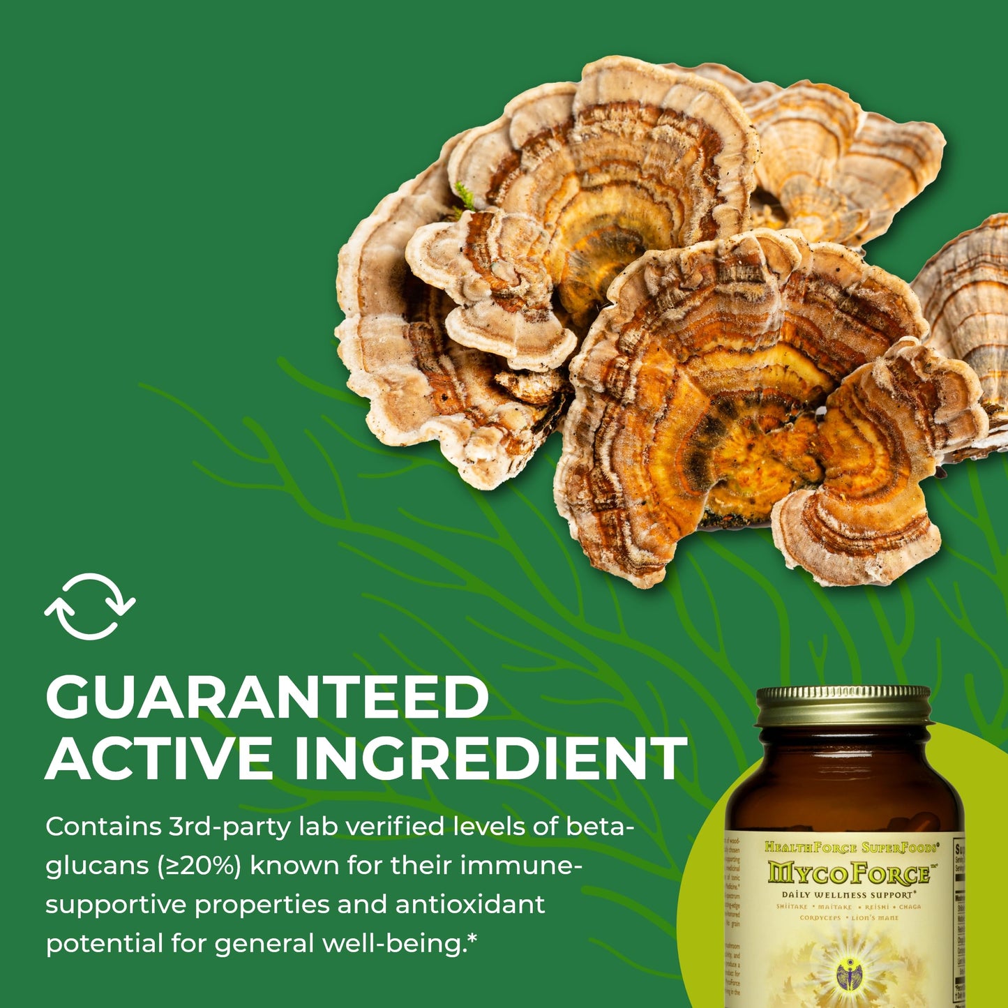 HEALTHFORCE SUPERFOODS MycoForce Capsules 120 Capsules