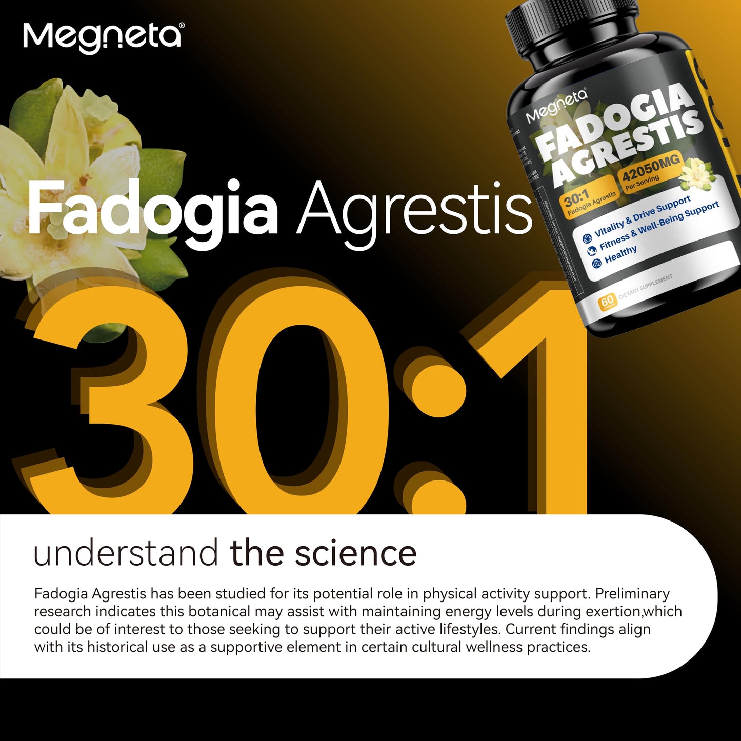 MEGNETA Fadogia Agrestis Supplement for Men, Boost Energy 60 Capsules