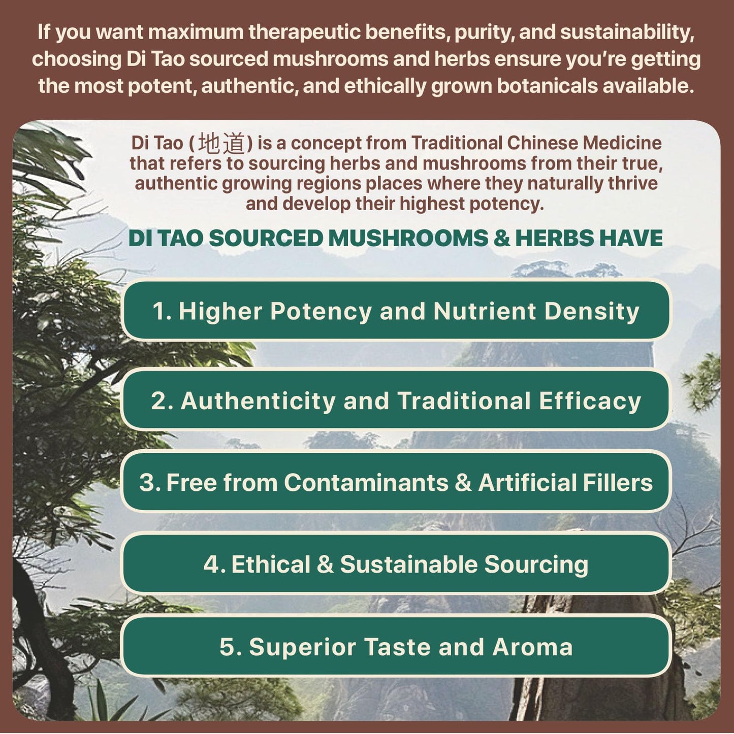 Modern Sage Herbs Mushroom & Herbal Blend Powder 1.4 oz