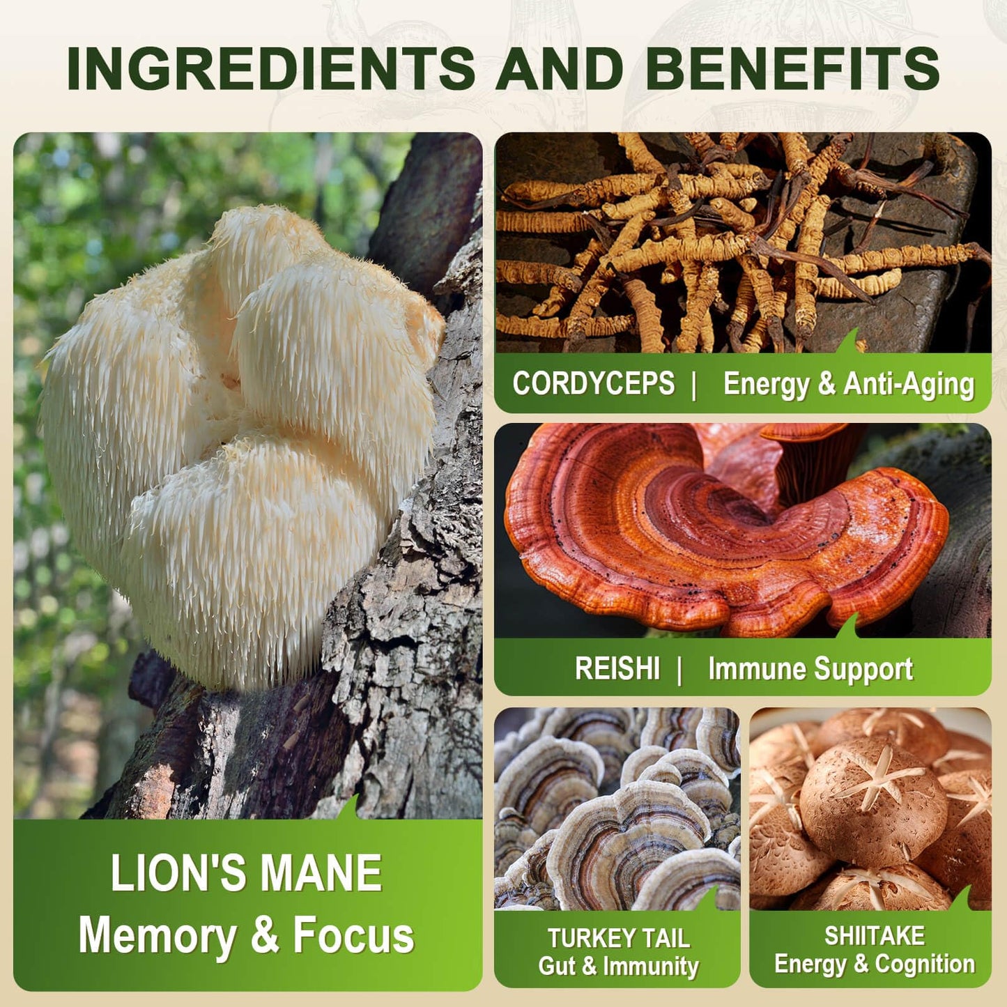 ZEBORA Lions Mane Mushroom Supplement Capsules, 115 Count