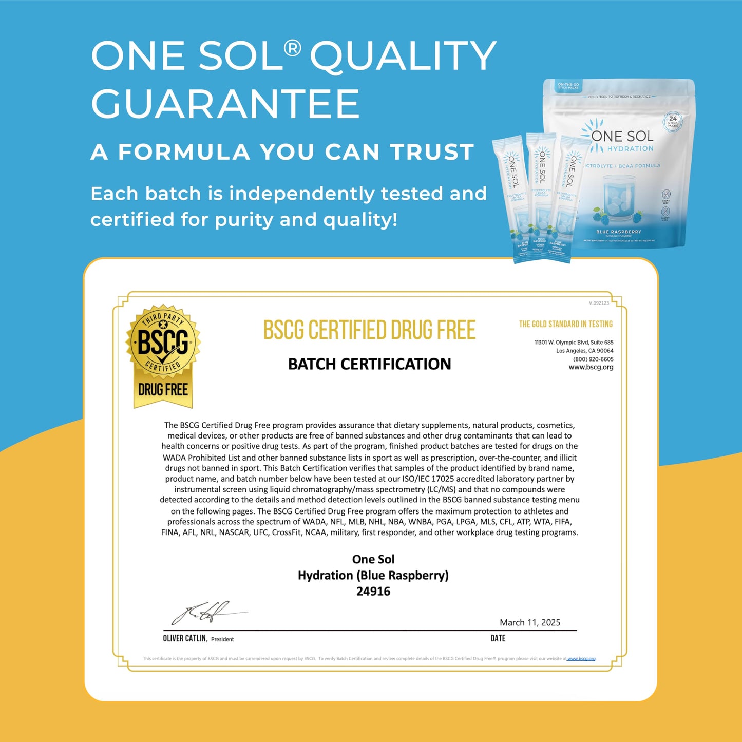 One Sol BCAA & Electrolyte Powder for Hydration & Energy, Natural Blue Raspberry Flavor, 7.68 Ounce