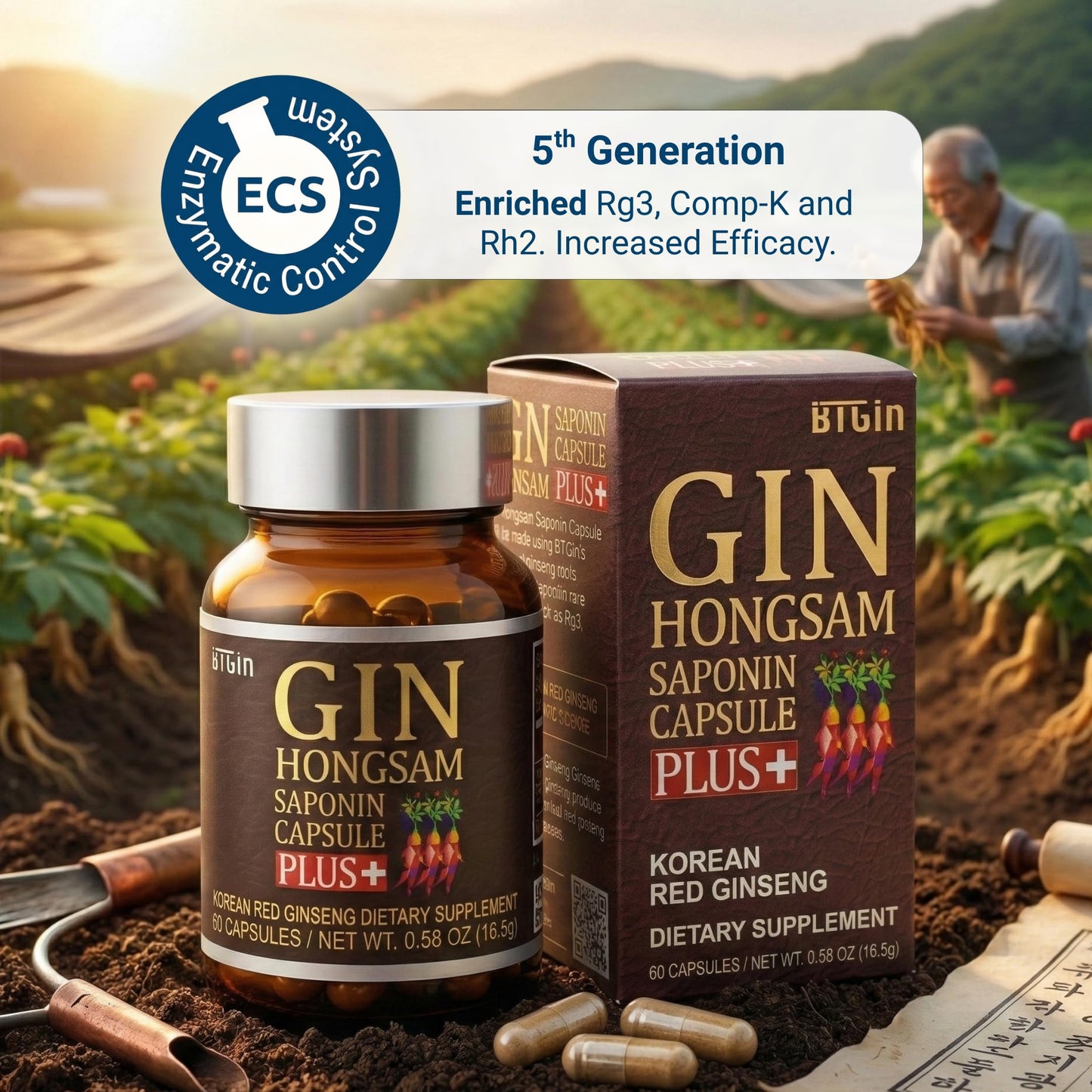 BTGIN Gin Hongsam Saponin Capsule Plus Korean Red Panax Ginseng Extract - High Rg3 & Compound K Supplement - Caffeine Free Extra Strength Energy, Focus & Immune Support - 60 Capsules