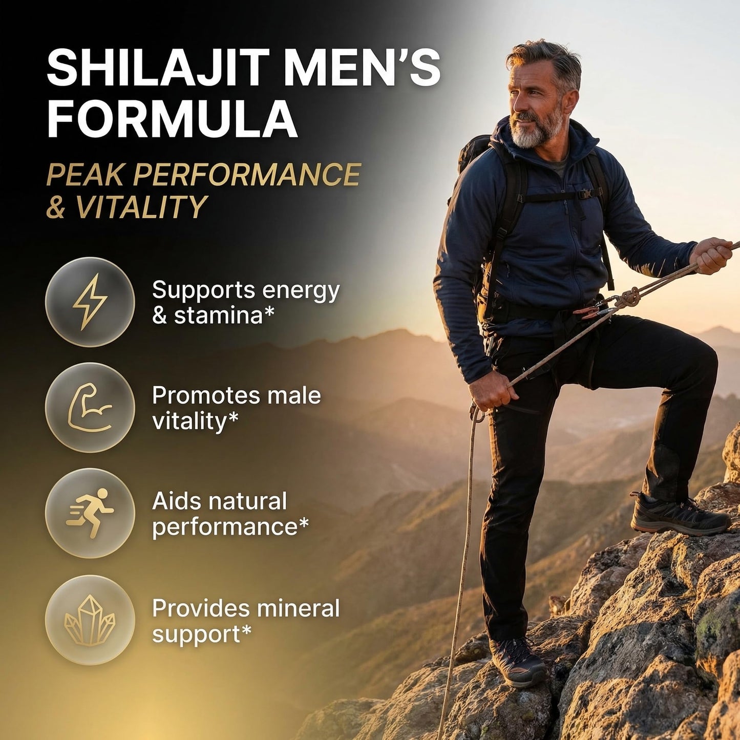Clean Nutraceuticals Shilajit Supplement for Men with Sea Moss, Tongkat Ali, Ashwagandha, Boron, Zinc, CoQ10, PQQ - Fulvic Acid Capsules, 90 Count