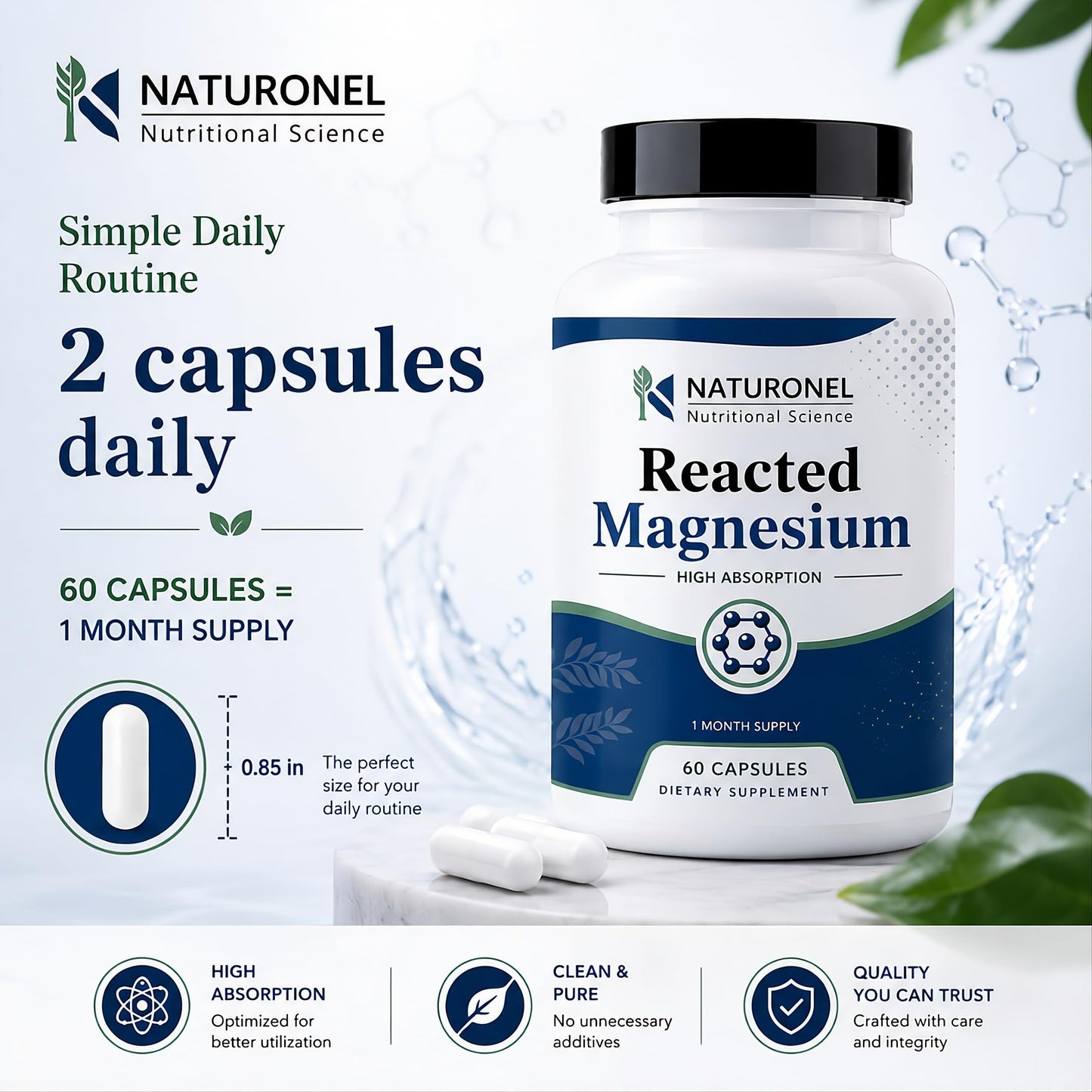 Naturonel Reacted Magnesium 500 mg Multi-Source Magnesium Complex Capsule, 60 Count