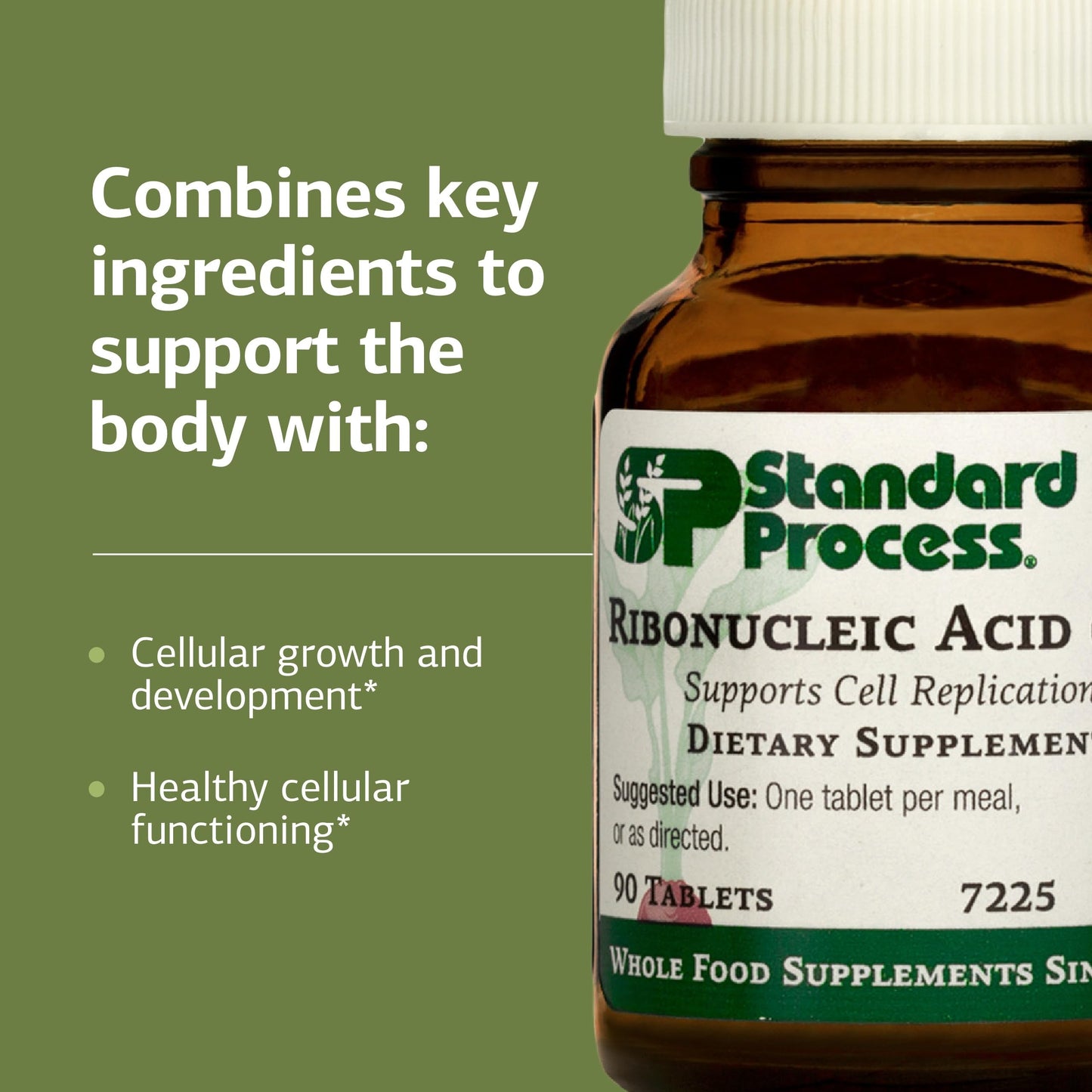 Standard Process Inc. Ribonucleic Acid RNA - Cell Development Support - Aids Protein Synthesis, 90 Tablets