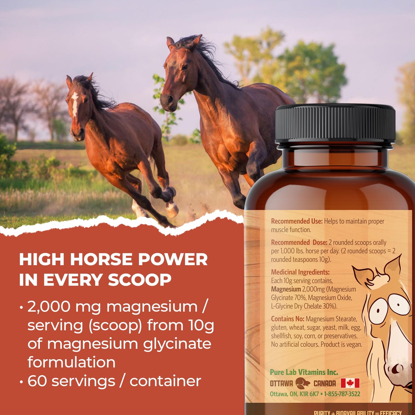 Pure Lab Vitamins Equine Magnesium Glycinate Powder 454