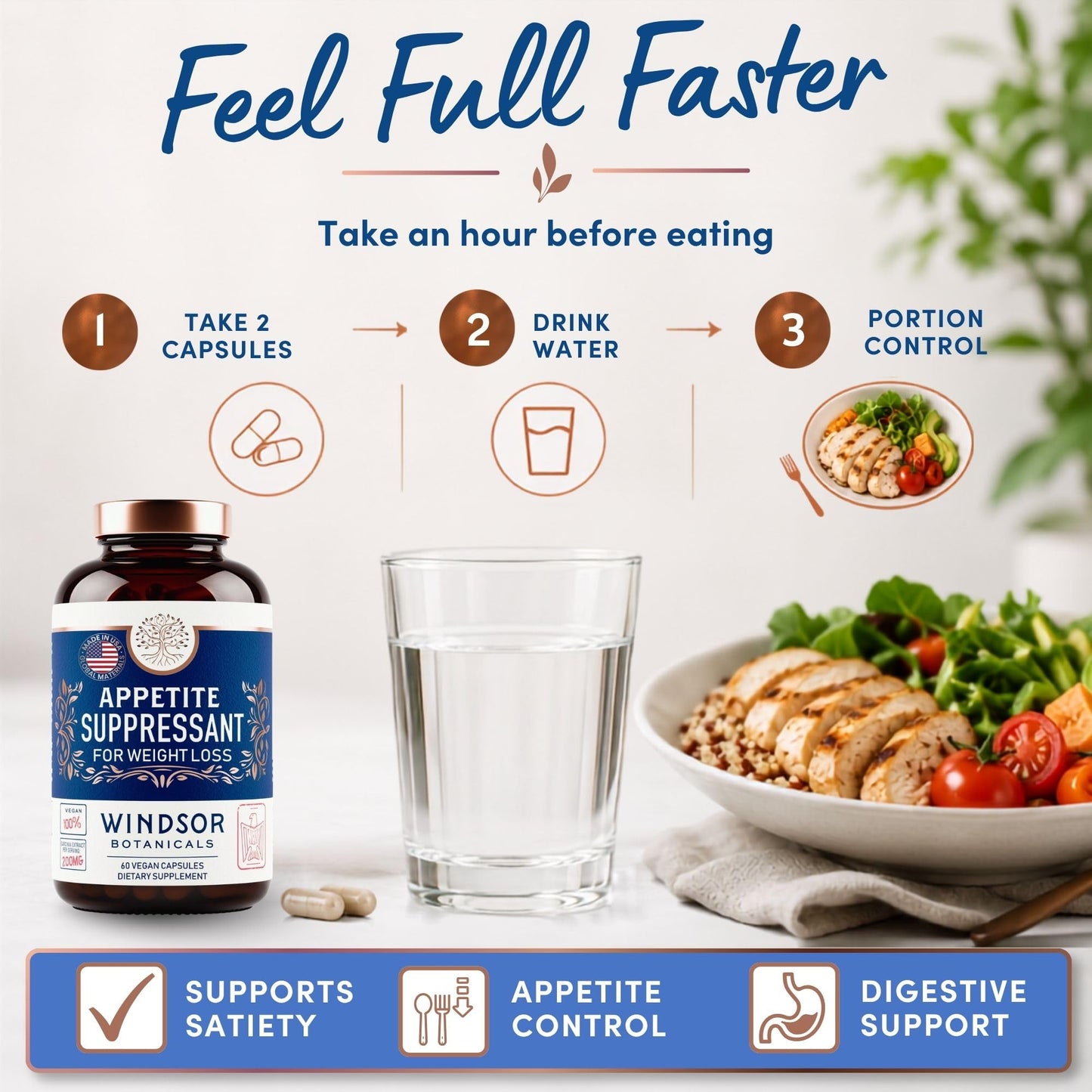 WINDSOR BOTANICALS Appetite Suppressant for Weight Loss Capsule 60 Capsules