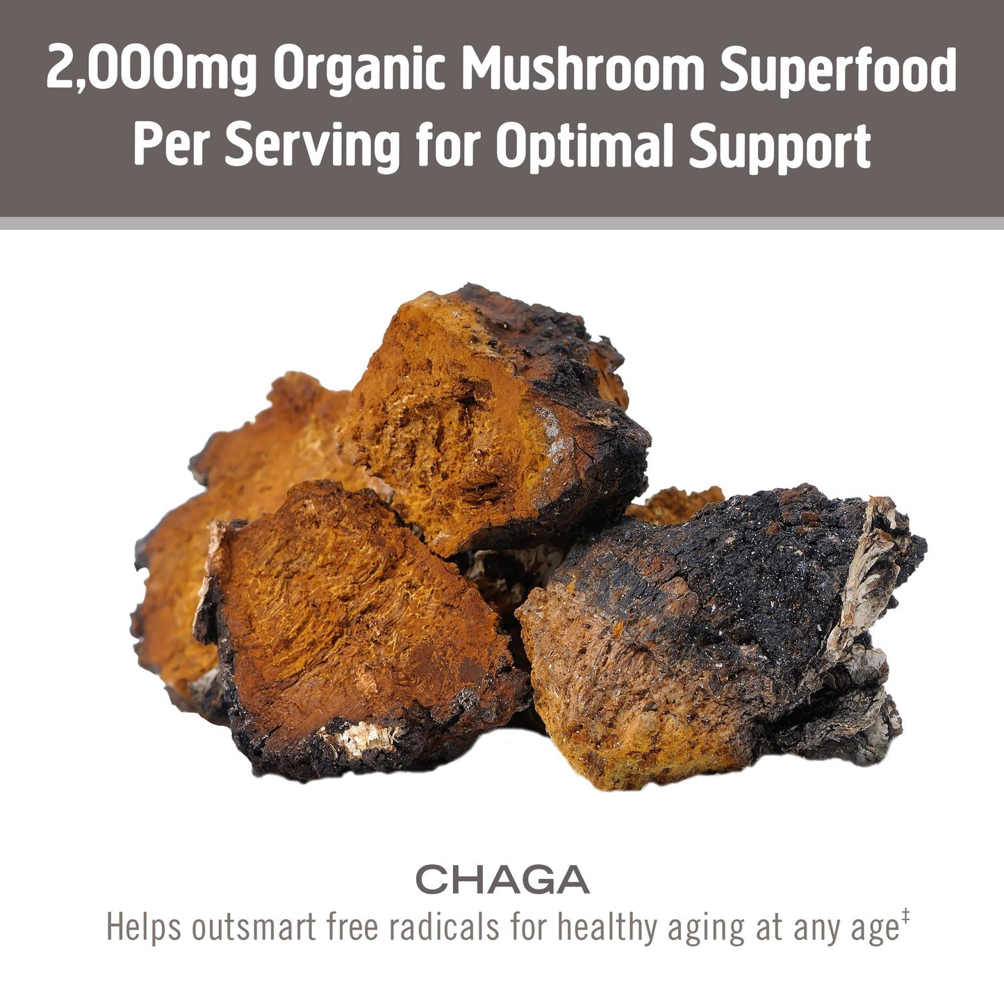 OM MUSHROOM SUPERFOOD Chaga Organic Mushroom Powder, 7.05 Ounce