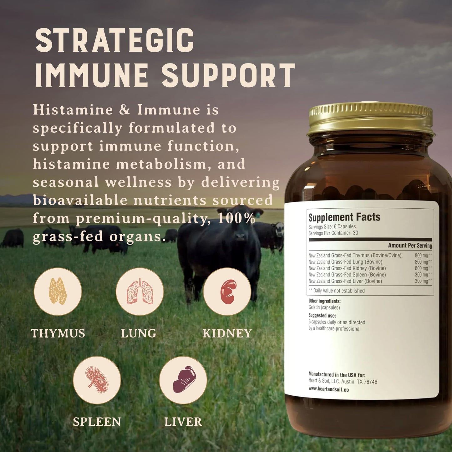 HEART & SOIL 100% Grass Fed & Finished Histamine & Immune Support Supplement from Regenerative Cattle with Thymus, Lung, Spleen, Liver, & Kidney, 180 Capsules